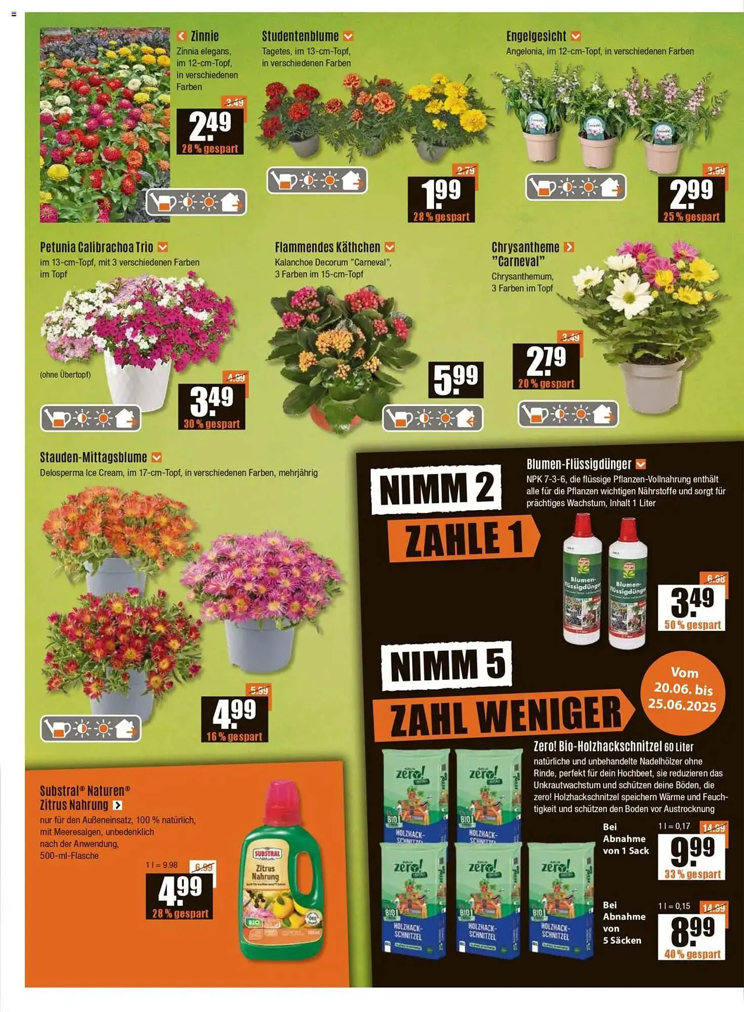 V Baumarkt Prospekt von 20. Juni bis 25. Juni 2025 - Prospekt seite 2