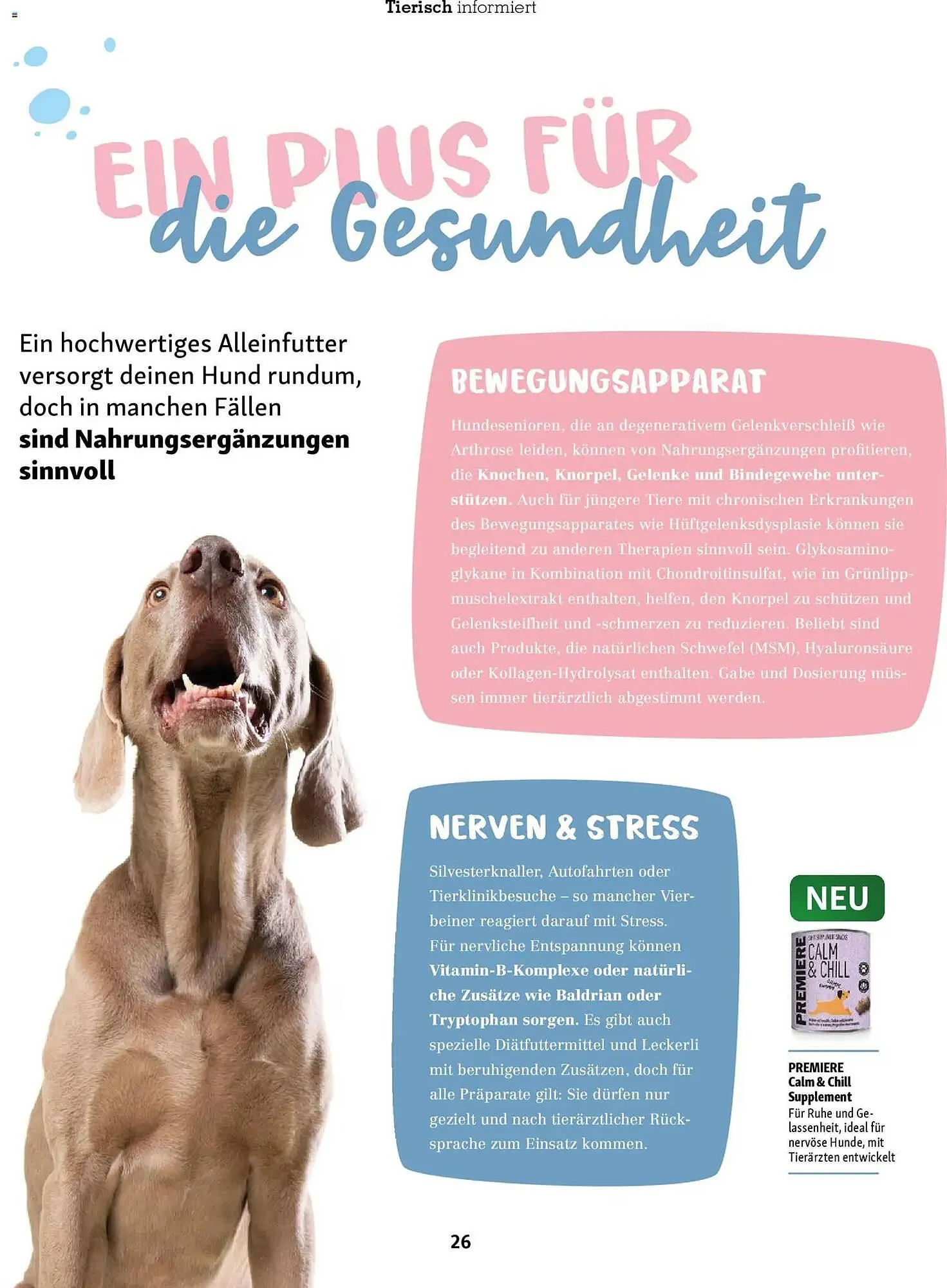 Fressnapf Magazin von 1. Januar bis 28. Februar 2026 - Prospekt seite 26