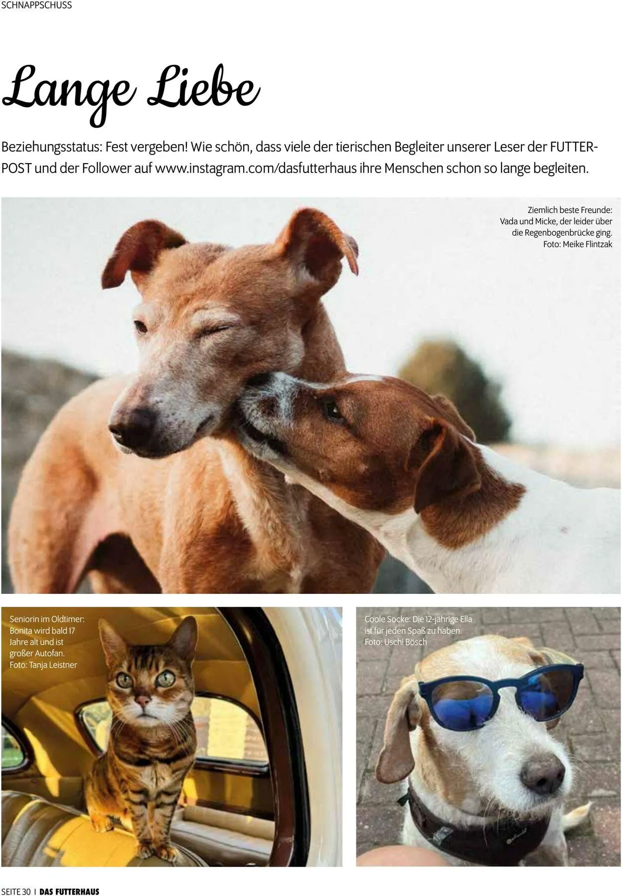 Futterhaus Aktueller Prospekt von 1. Mai bis 31. Mai 2025 - Prospekt seite 30