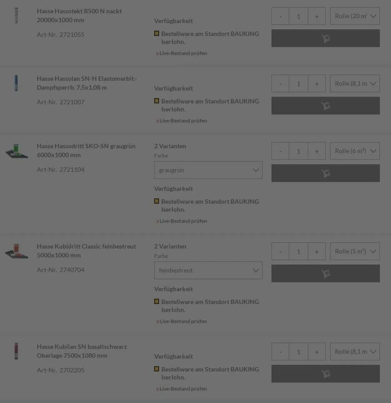 Bauking von 30. Juni bis 9. Juli 2025 - Prospekt seite 16