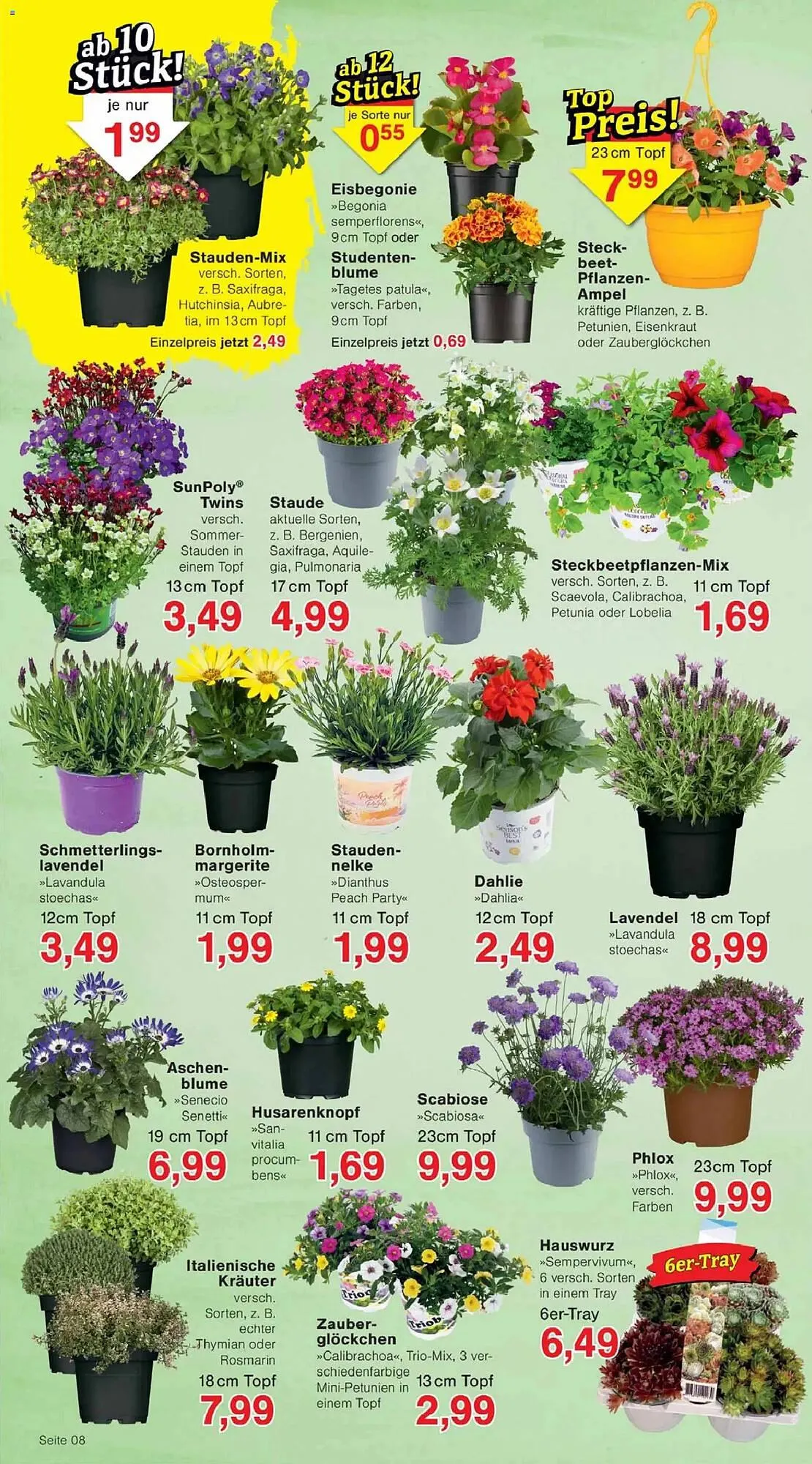 Jawoll Prospekt von 7. April bis 11. April 2026 - Prospekt seite 12