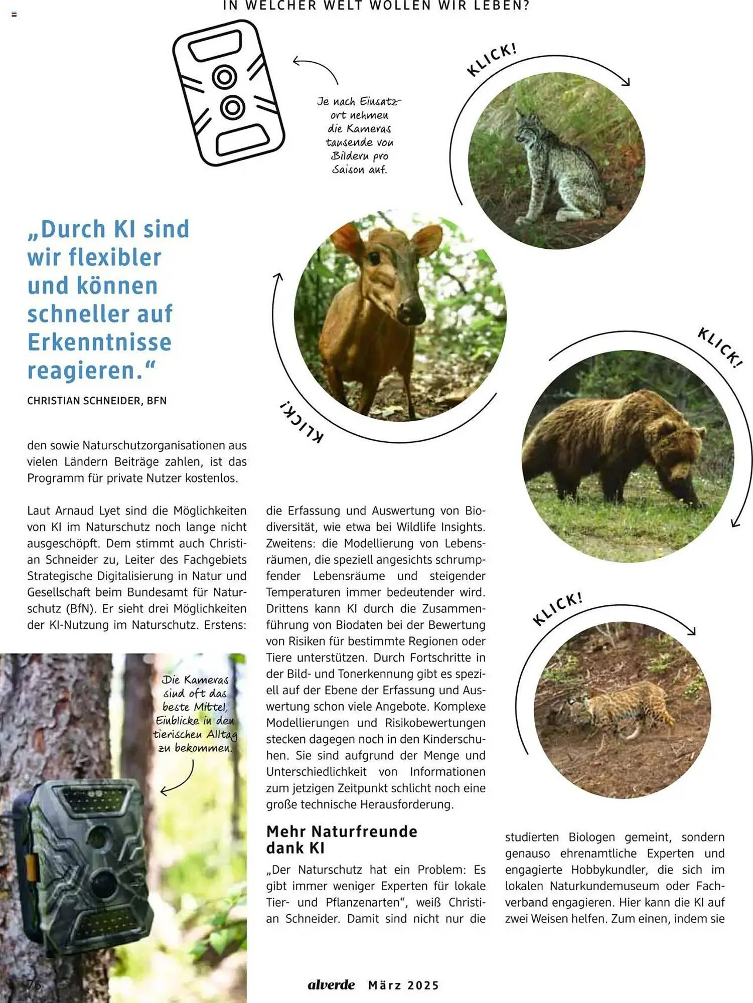 dm drogerie Prospekt von 1. März bis 31. März 2025 - Prospekt seite 76