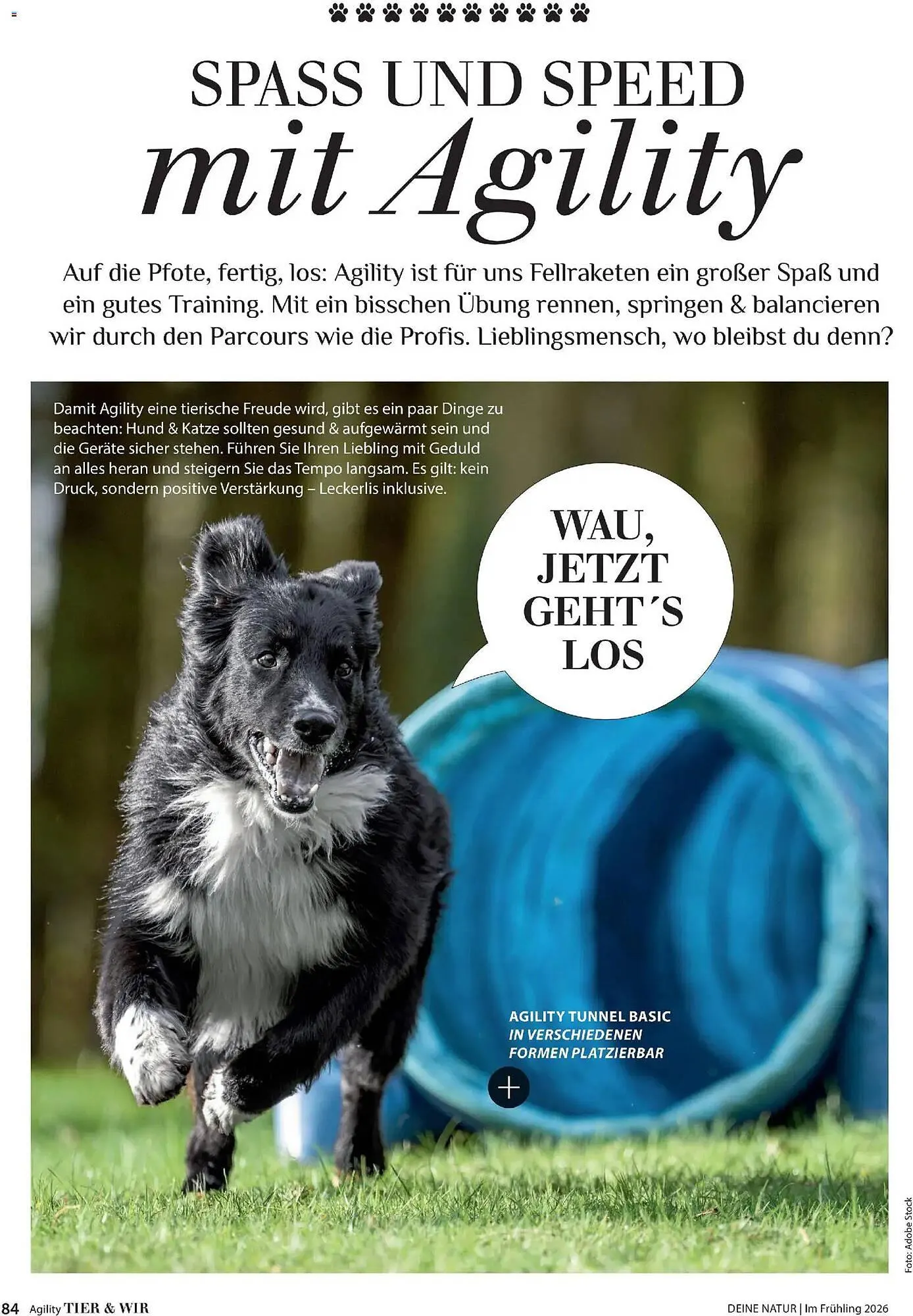 Dehner Prospekt von 17. April bis 31. August 2026 - Prospekt seite 84