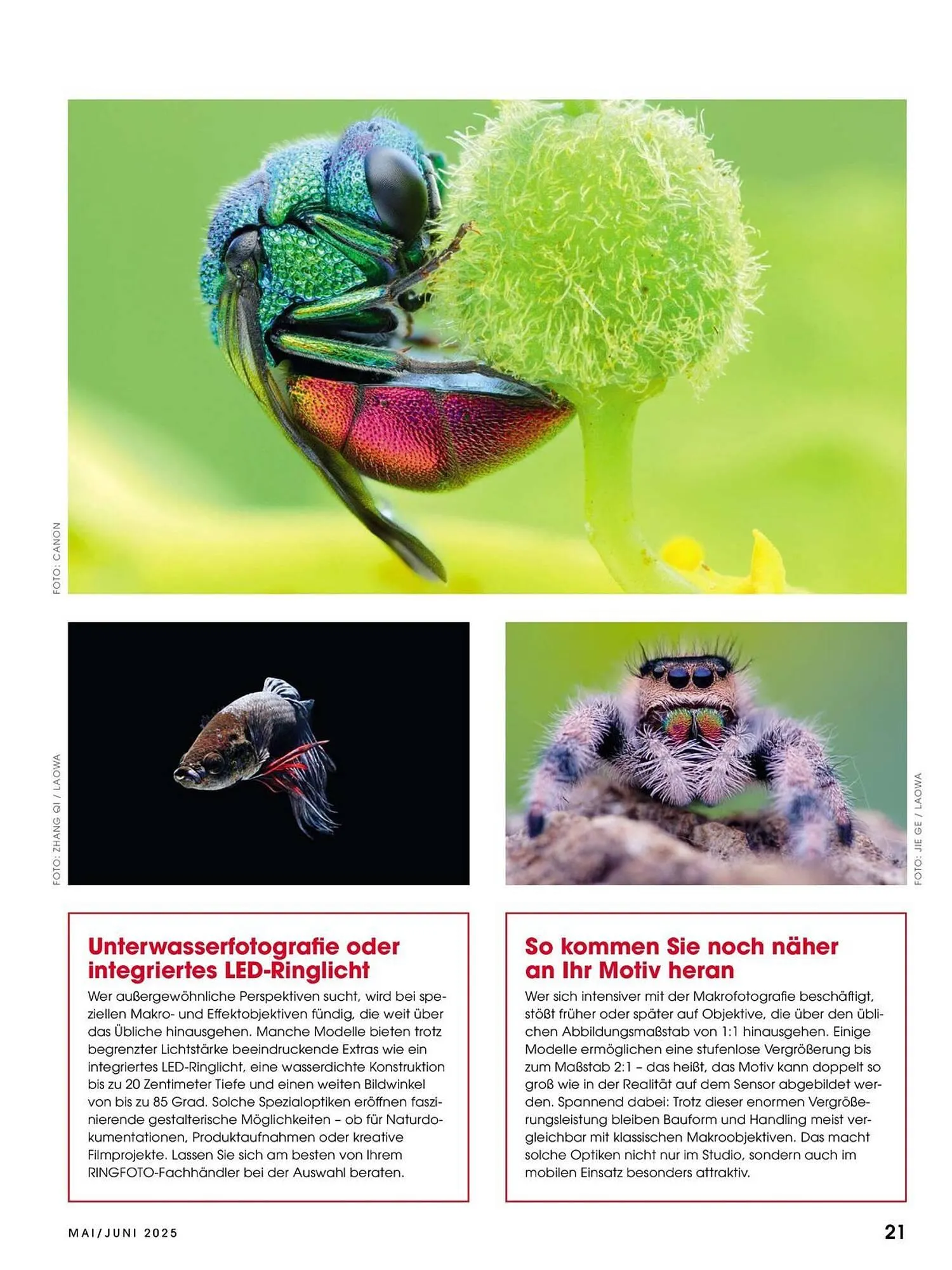 Ringfoto Prospekt von 22. Mai bis 30. Juni 2025 - Prospekt seite 21