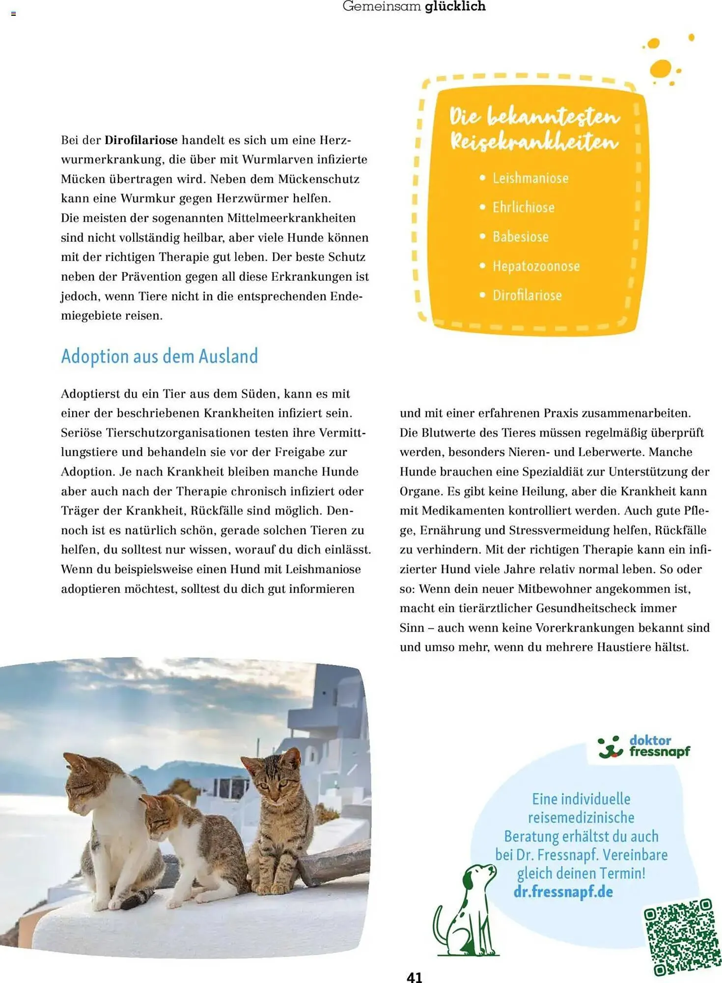 Fressnapf Prospekt von 1. Mai bis 30. Juni 2025 - Prospekt seite 41