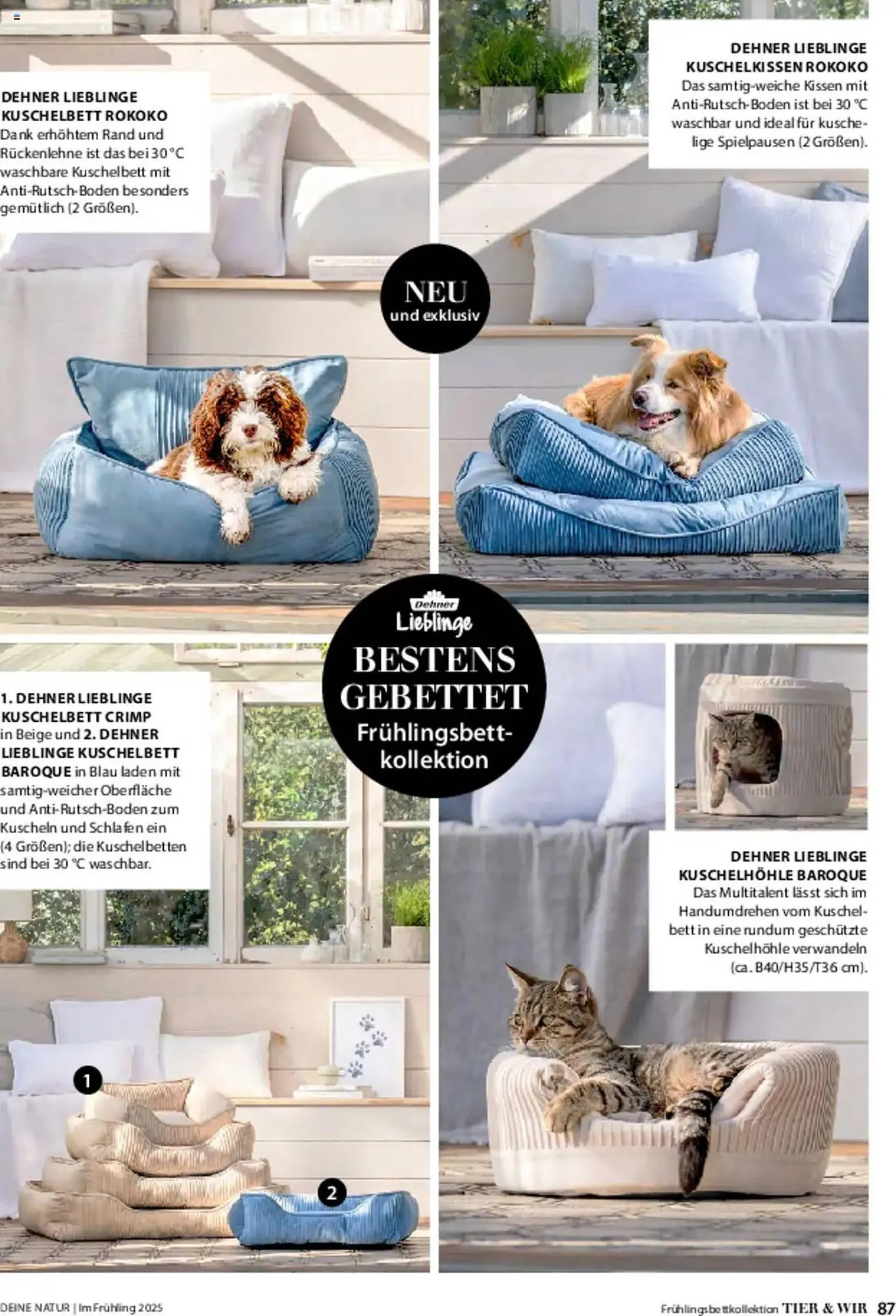 Dehner Prospekt von 6. März bis 9. Juni 2025 - Prospekt seite 87
