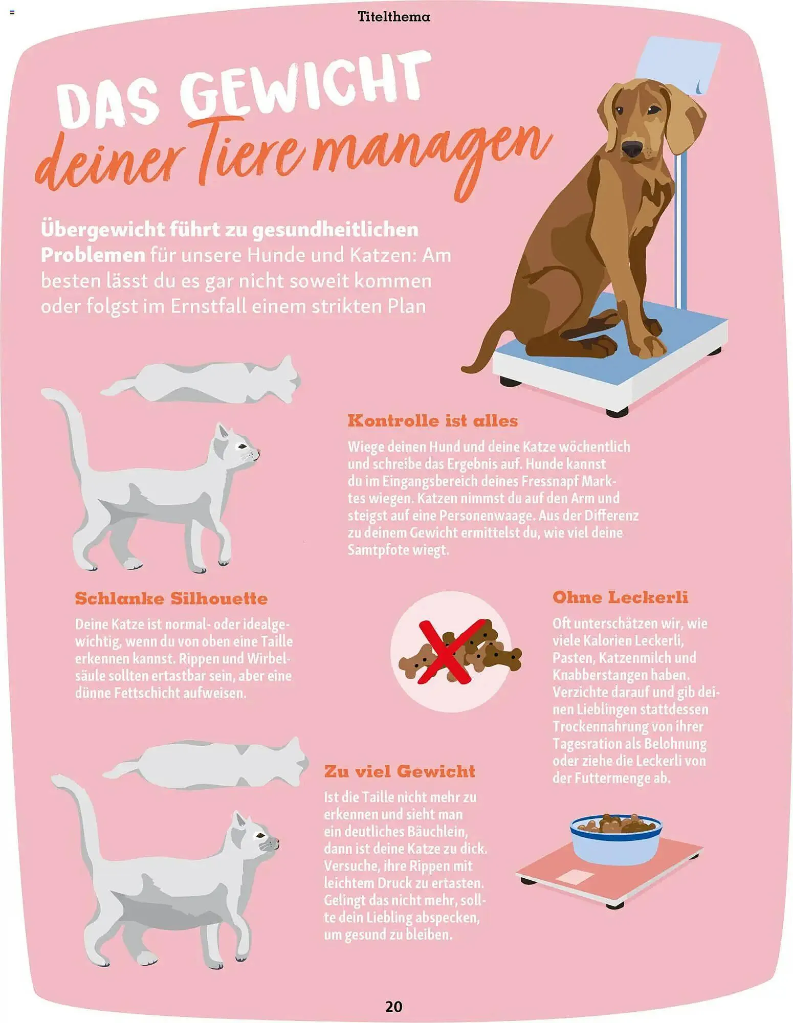 Fressnapf Magazin von 2. März bis 30. April 2026 - Prospekt seite 20