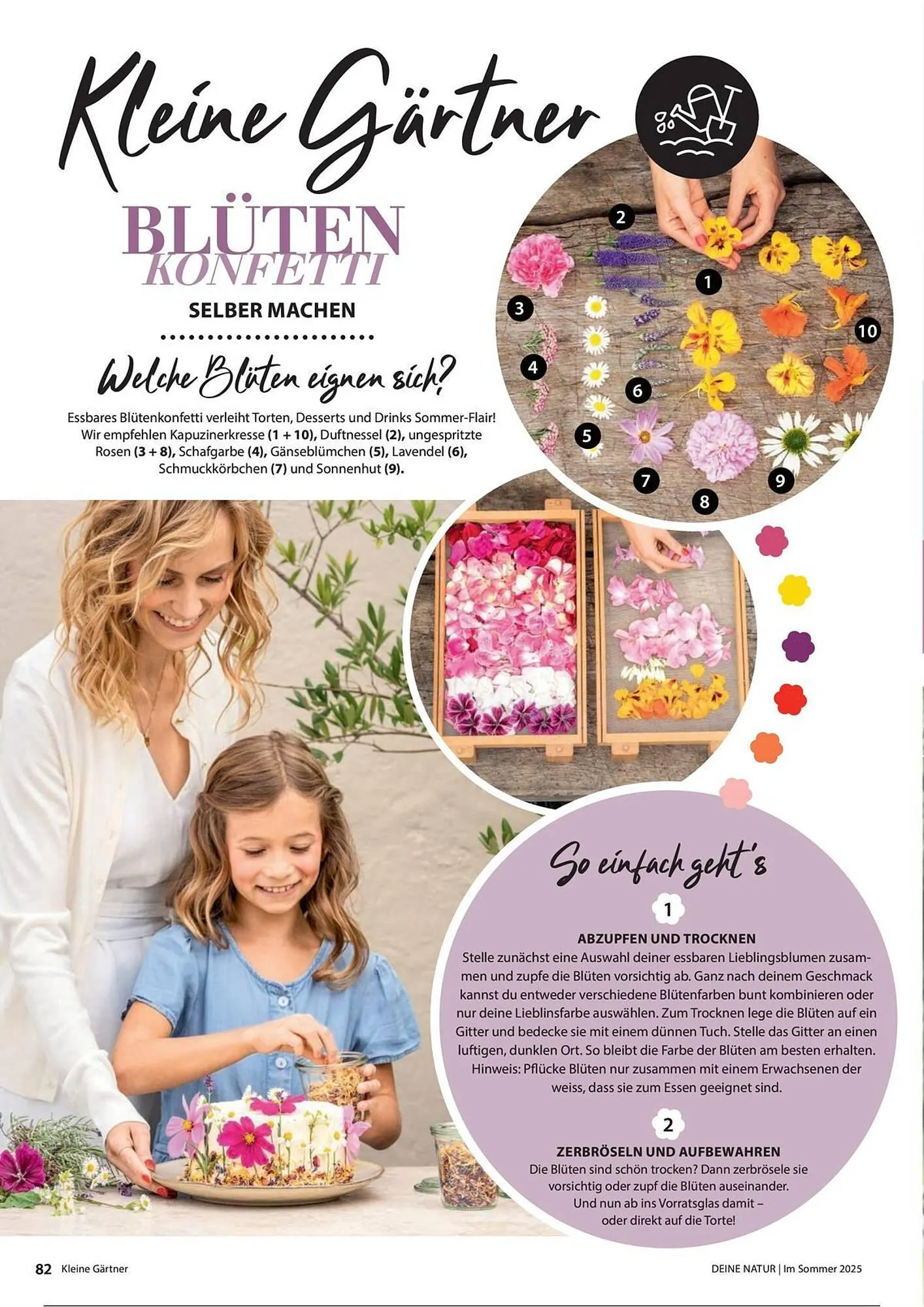 Dehner Prospekt von 1. Juli bis 31. Dezember 2025 - Prospekt seite 82