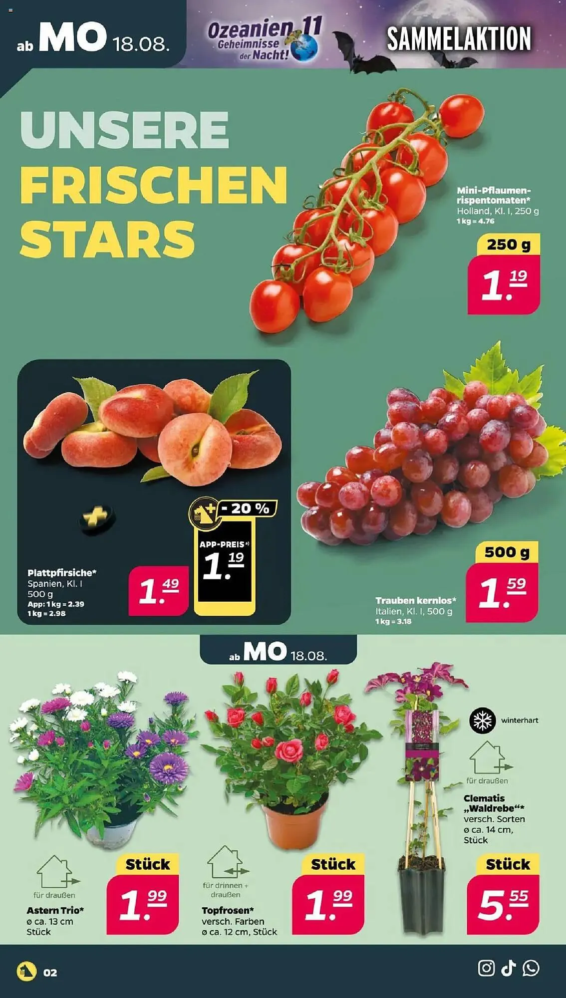 NETTO Prospekt von 18. August bis 23. August 2025 - Prospekt seite 2