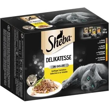 Sheba Delikatesse in Gelee 12x85g