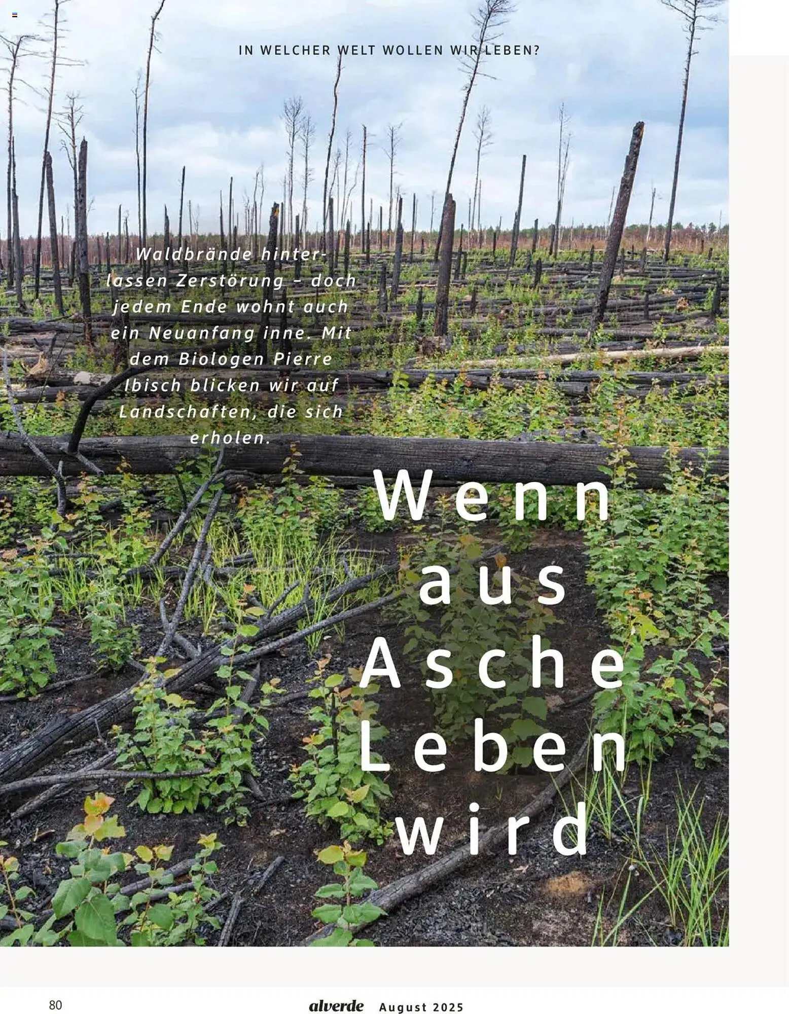 dm drogerie Prospekt von 1. August bis 31. August 2025 - Prospekt seite 80