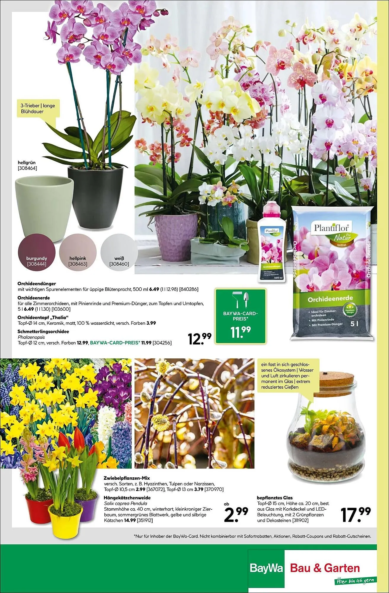 BayWa Prospekt von 19. Januar bis 25. Januar 2026 - Prospekt seite 16