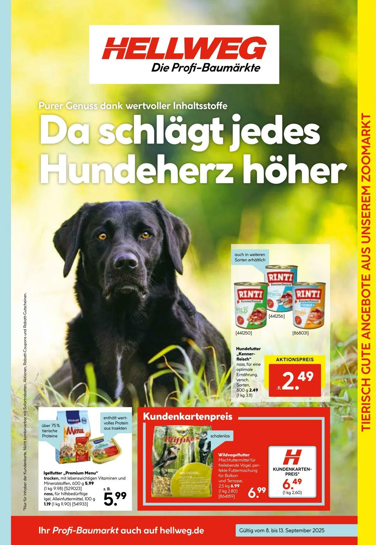 Hellweg Aktueller Prospekt von 29. September bis 13. Oktober 2025 - Prospekt seite 13