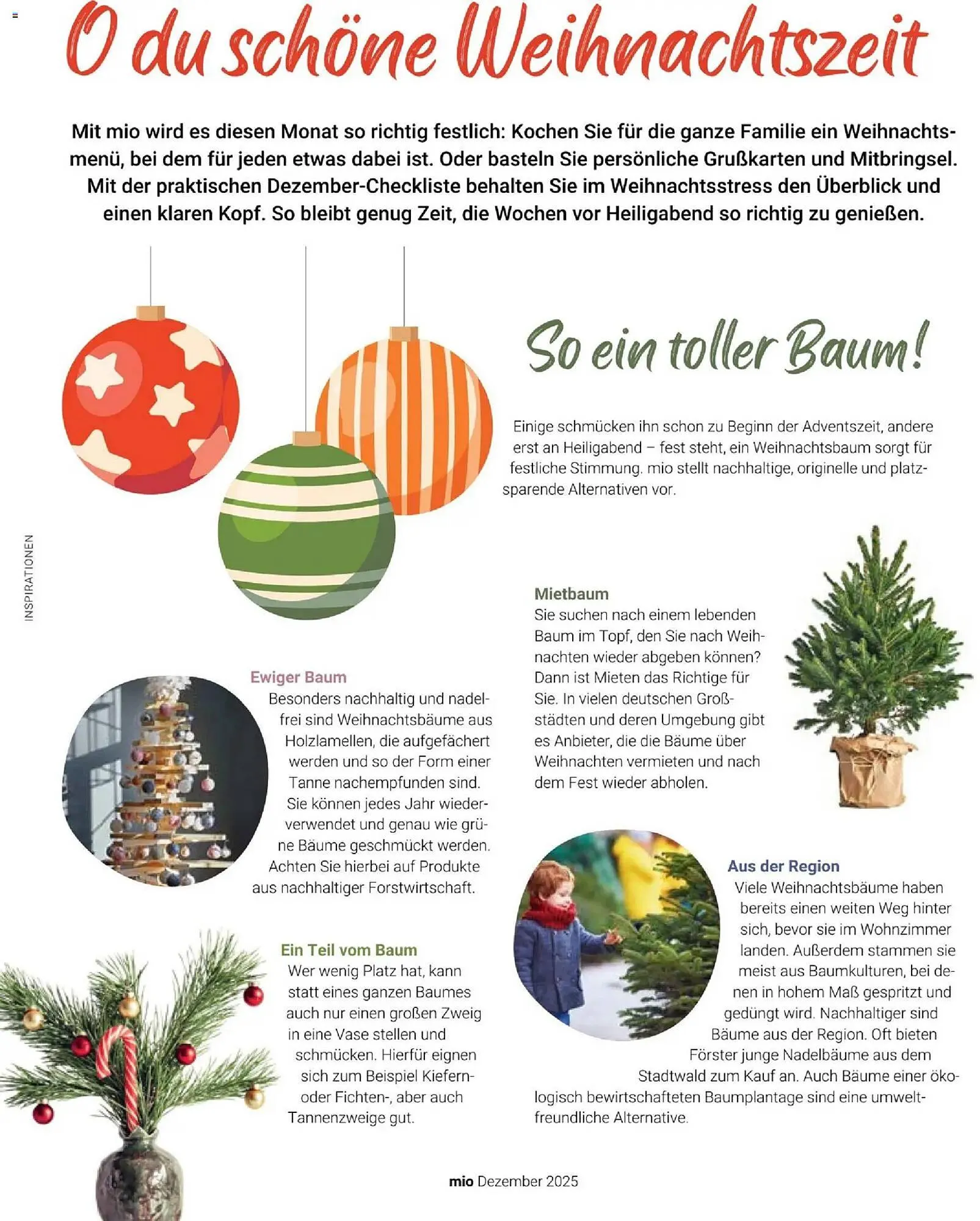 Globus Mio Magazin von 1. Dezember bis 31. Dezember 2025 - Prospekt seite 4