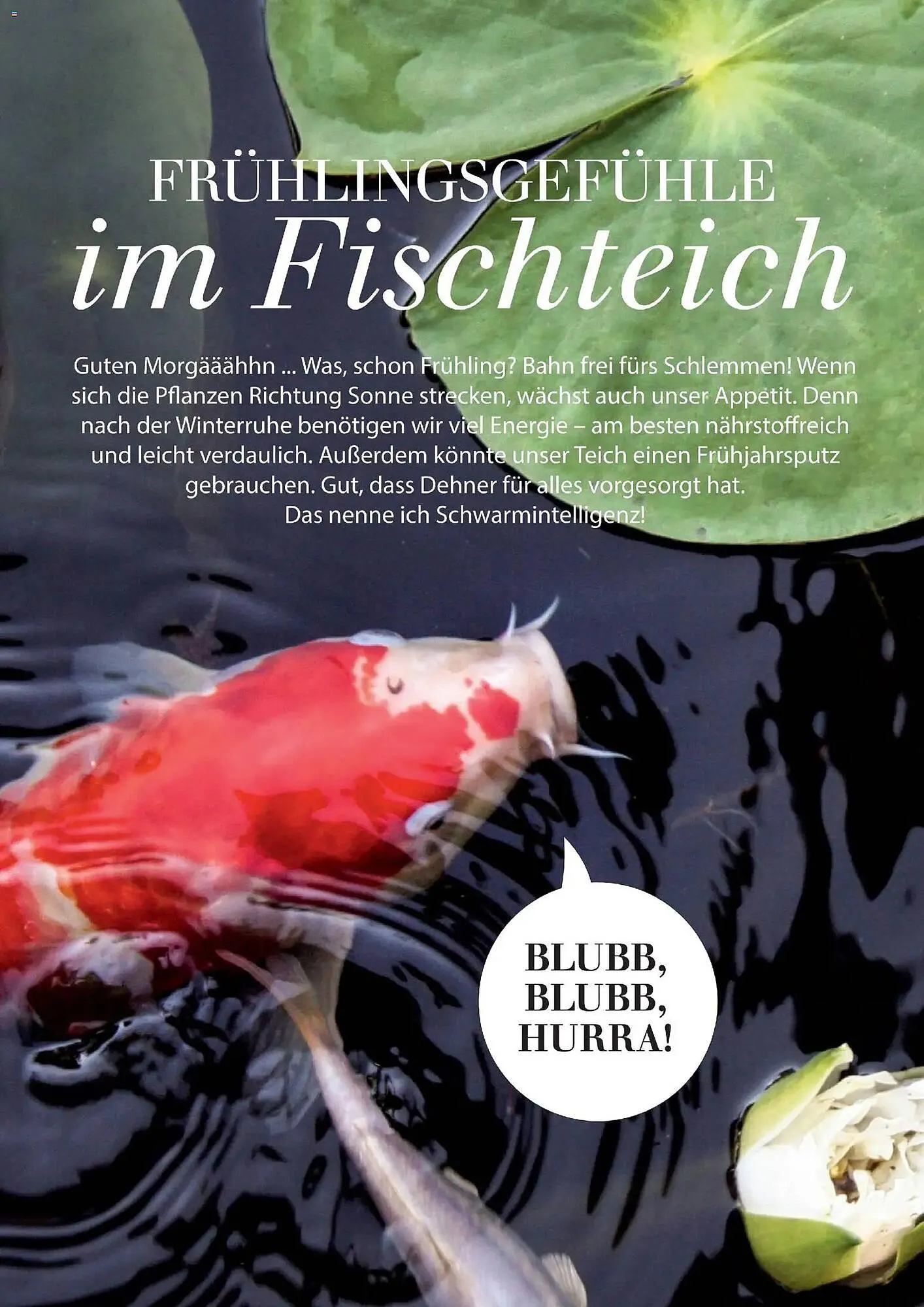 Dehner Prospekt von 4. März bis 31. Mai 2026 - Prospekt seite 90