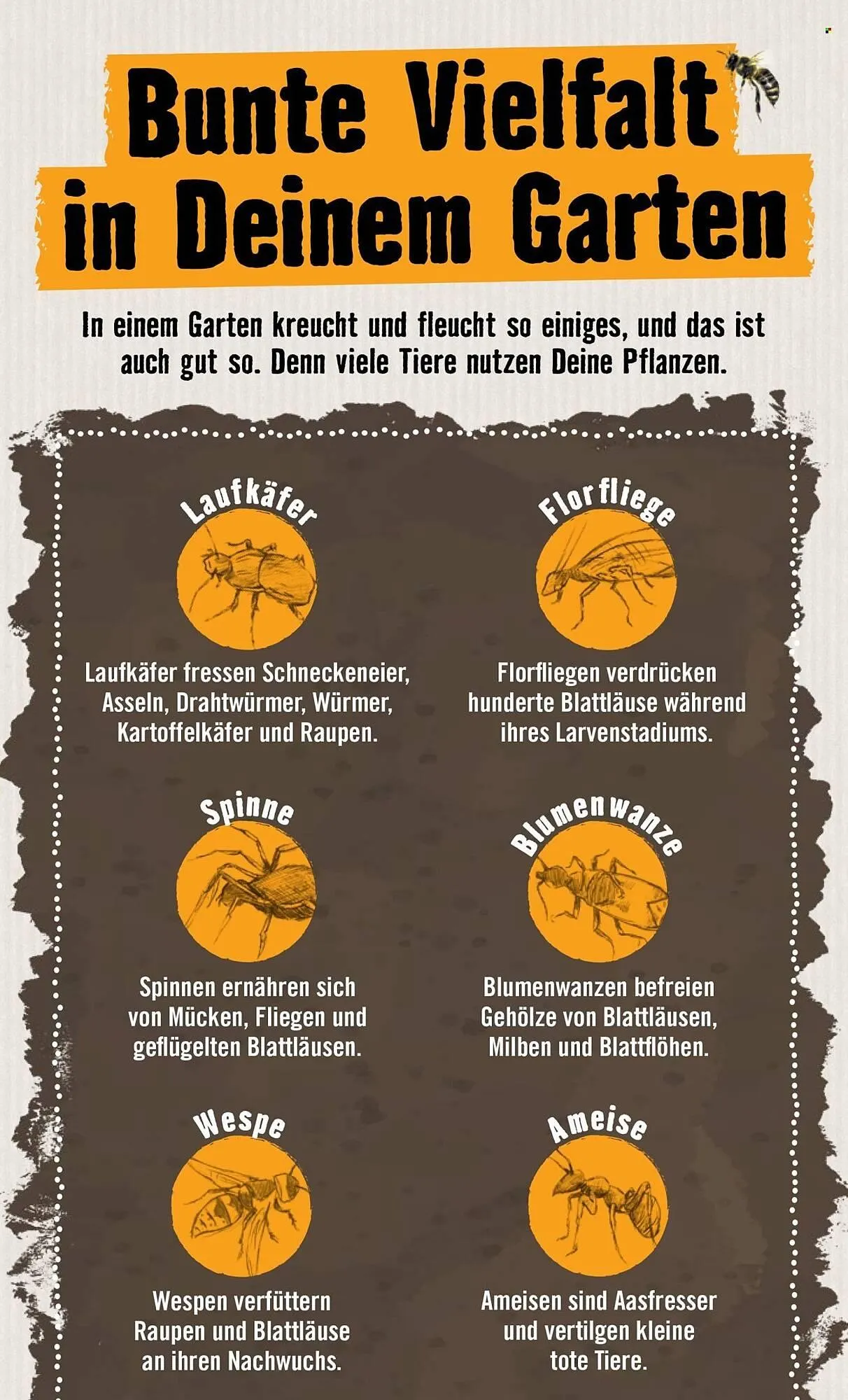 Hornbach Prospekt von 24. April bis 2. Mai 2026 - Prospekt seite 10