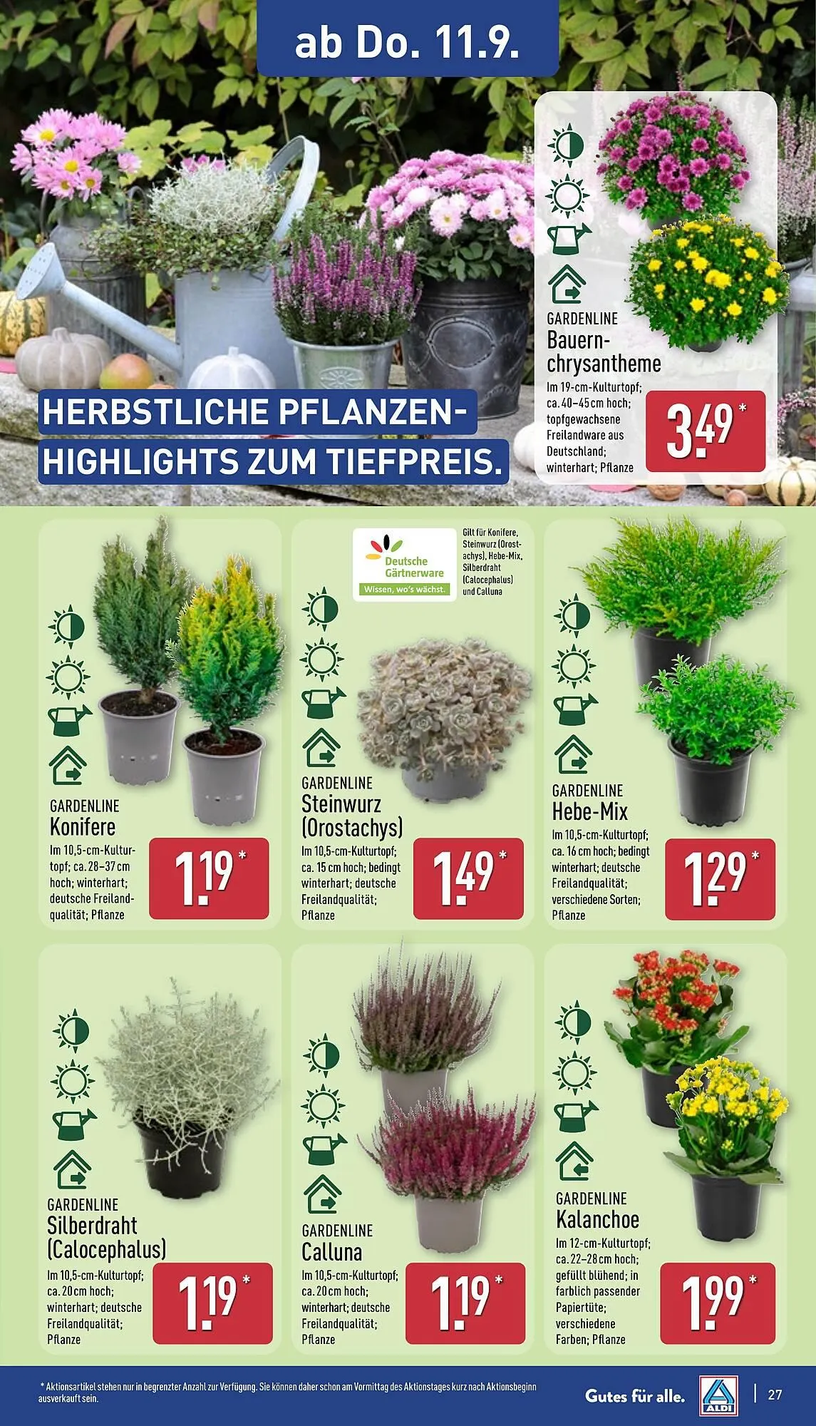 Aldi Nord Prospekt von 8. September bis 13. September 2025 - Prospekt seite 31