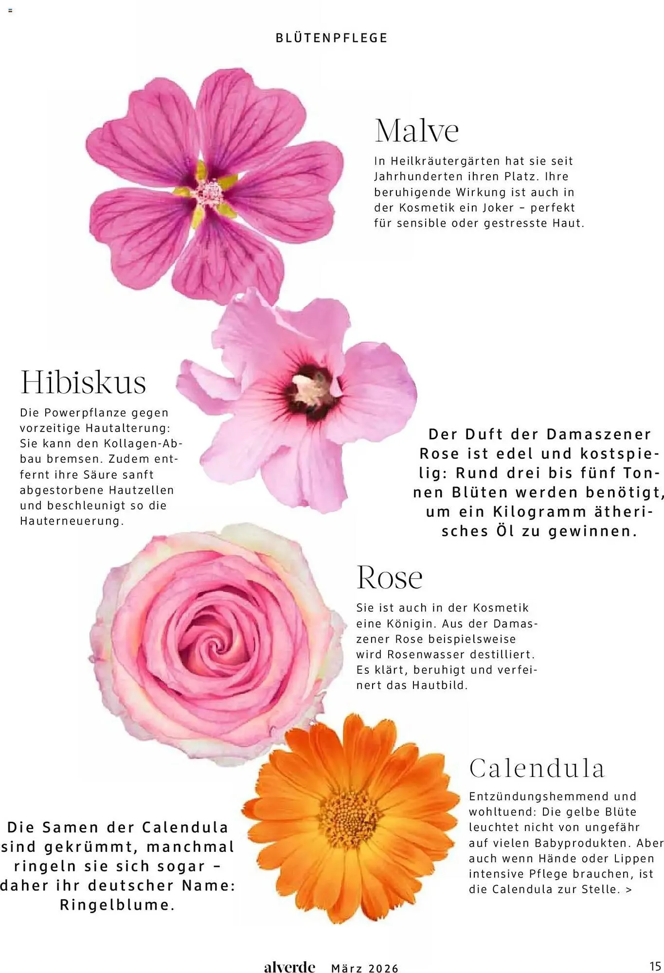 Dm drogerie Magazin von 1. März bis 31. März 2026 - Prospekt seite 15