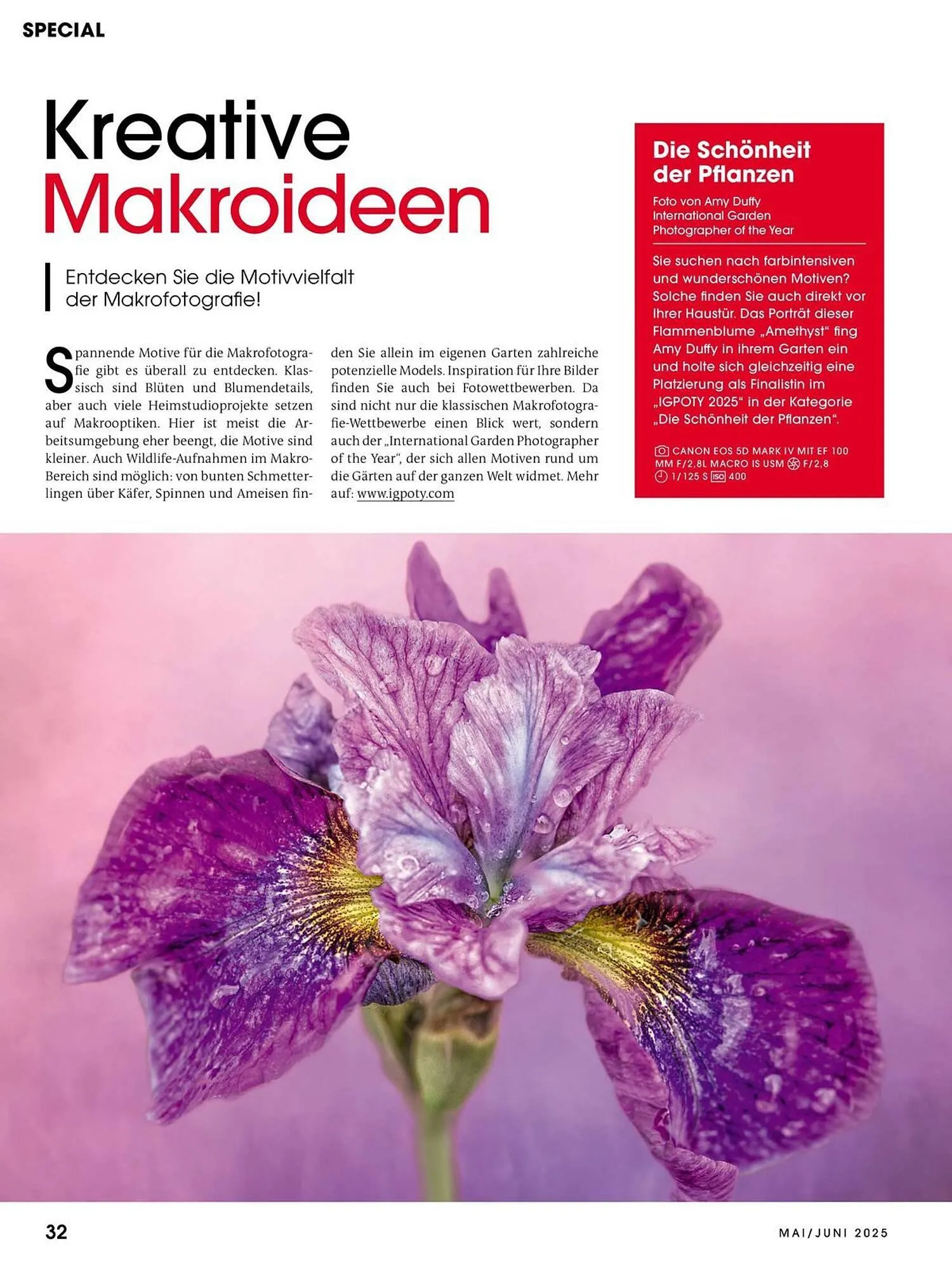 Ringfoto Prospekt von 22. Mai bis 30. Juni 2025 - Prospekt seite 32