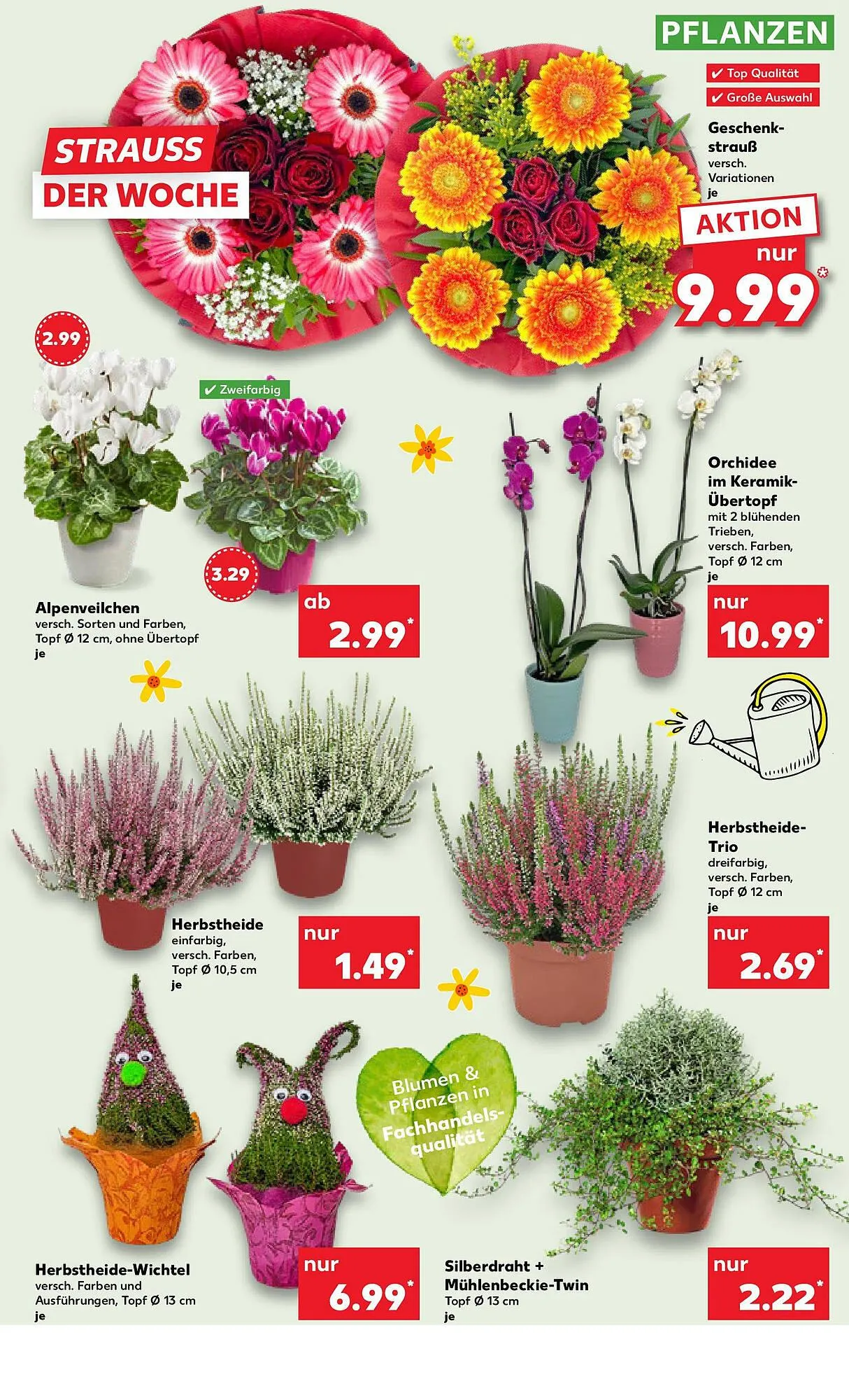 Kaufland Prospekt von 12. Oktober bis 15. Oktober 2025 - Prospekt seite 9