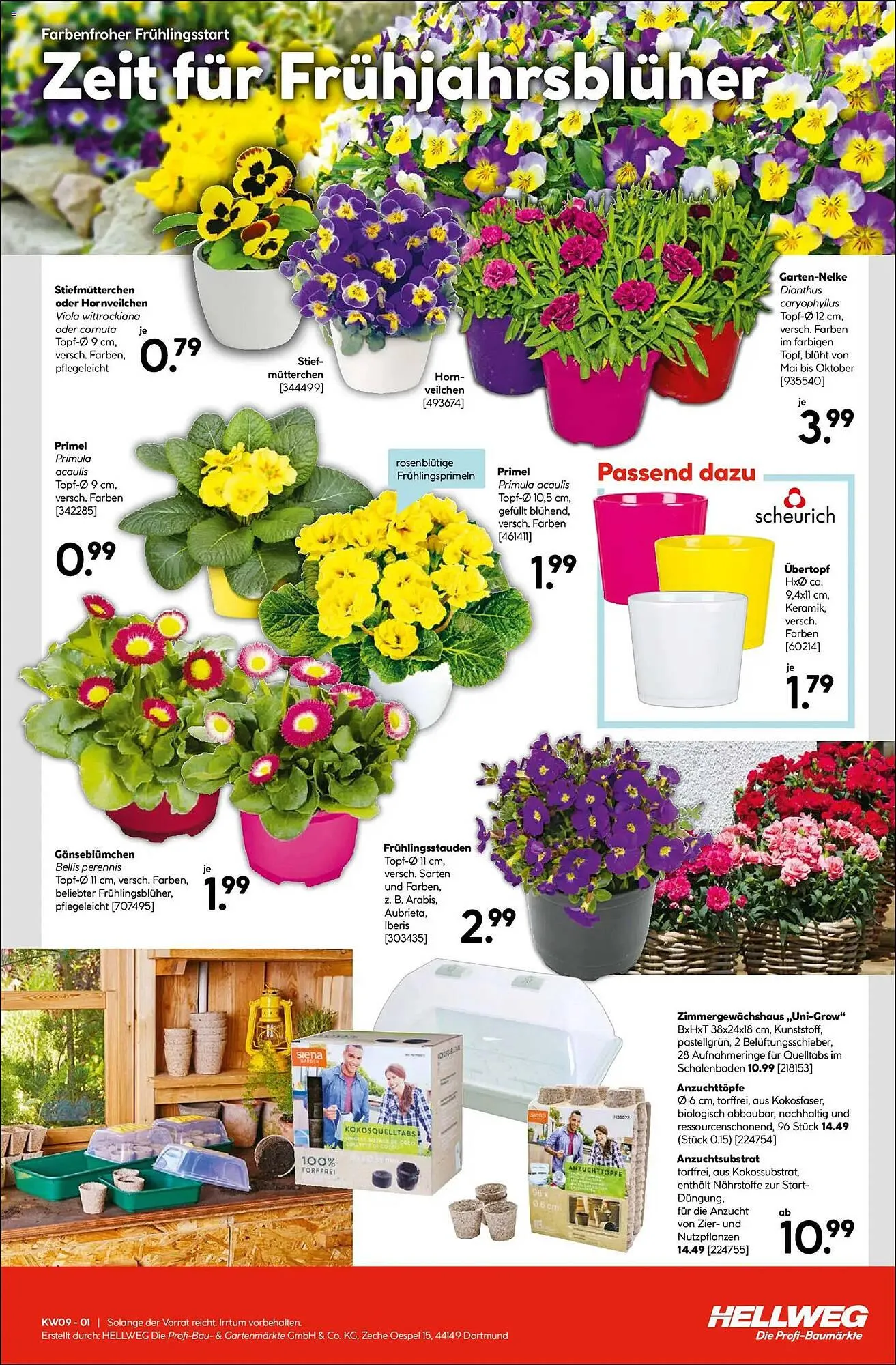 Hellweg Prospekt von 23. Februar bis 28. Februar 2026 - Prospekt seite 15