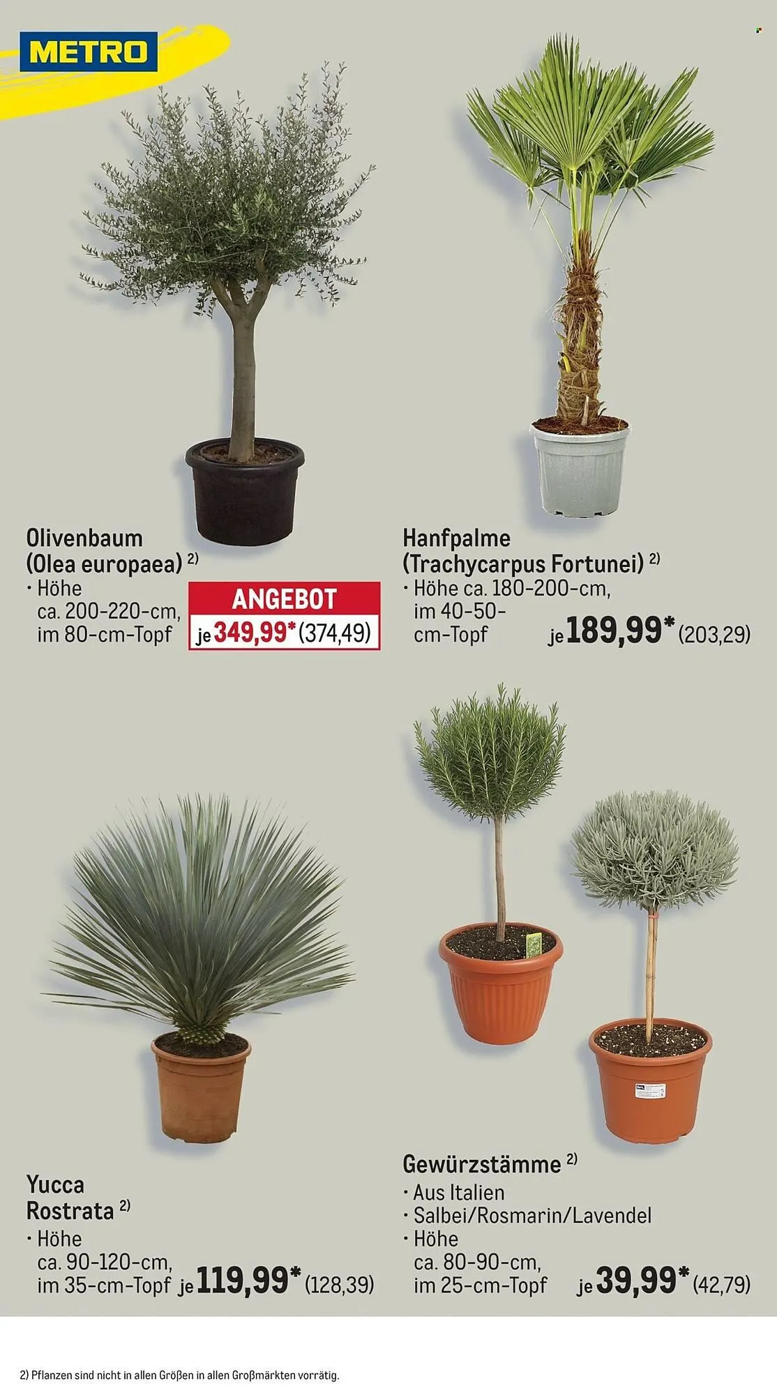 METRO Prospekt von 1. April bis 30. April 2026 - Prospekt seite 39