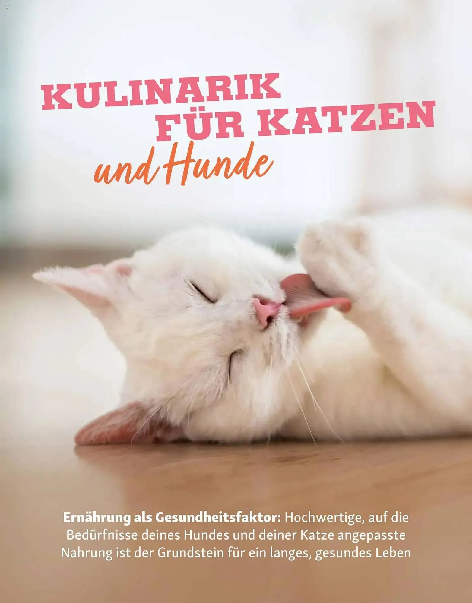 Fressnapf Magazin von 2. März bis 30. April 2026 - Prospekt seite 16