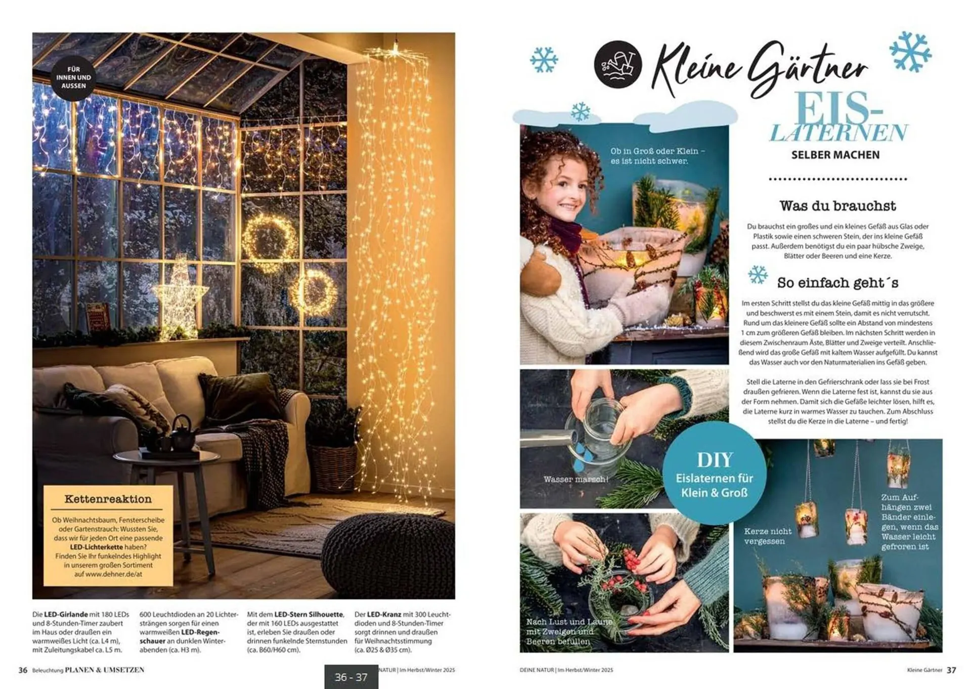 Dehner Prospekt von 24. Oktober bis 31. Dezember 2025 - Prospekt seite 19