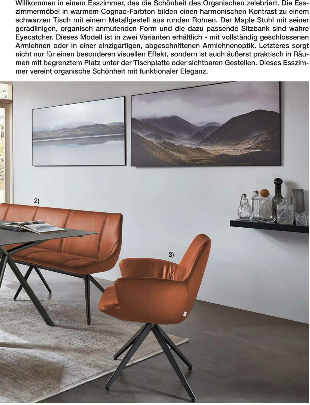 Multipolster Aktueller Prospekt von 2. Juni bis 16. Juni 2025 - Prospekt seite 65