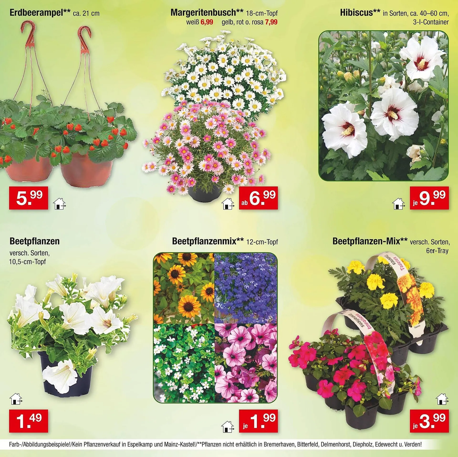 Zimmermann Prospekt von 14. April bis 19. April 2025 - Prospekt seite 30