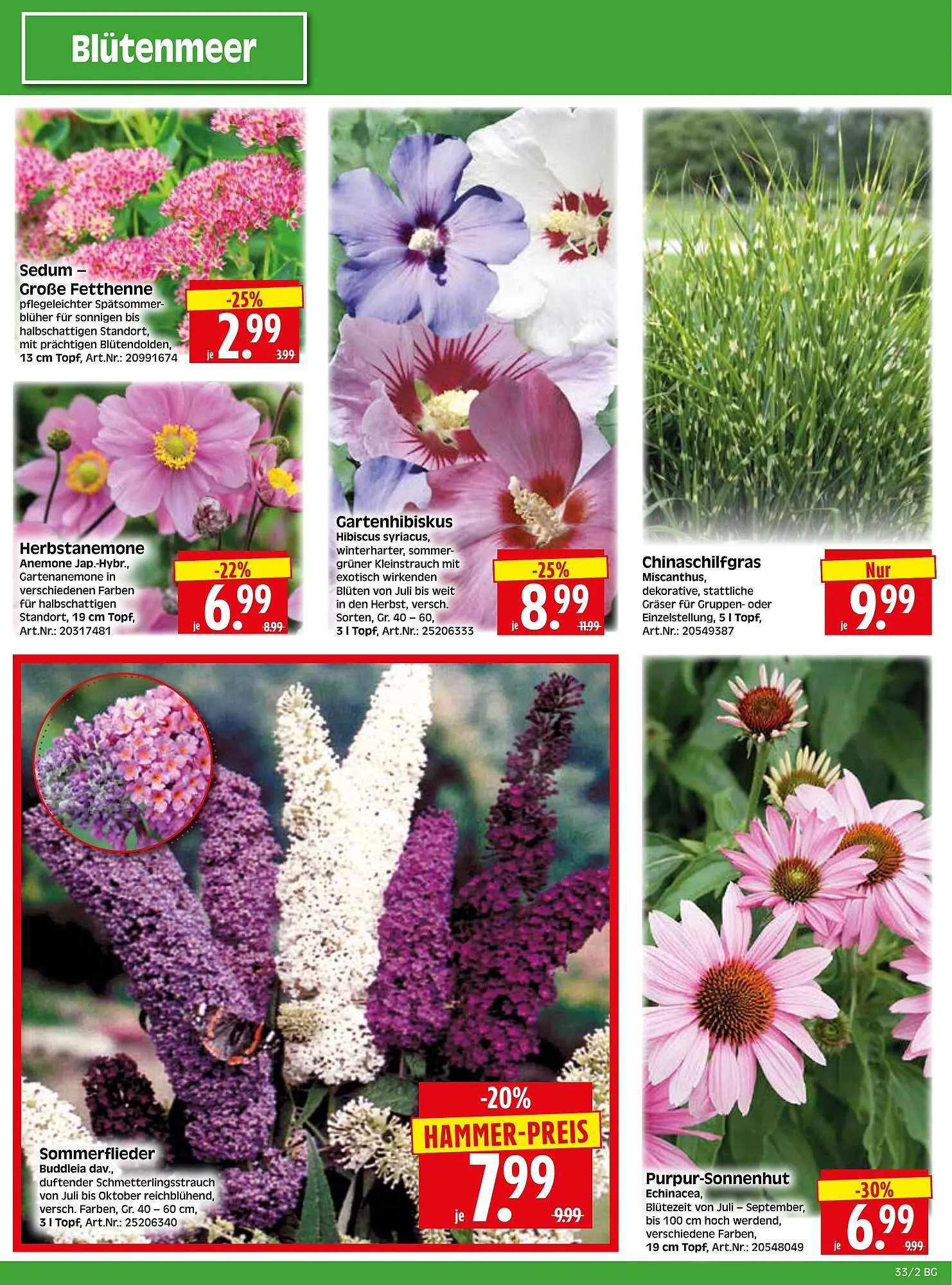 Herkules Baumarkt Prospekt von 11. August bis 16. August 2025 - Prospekt seite 2