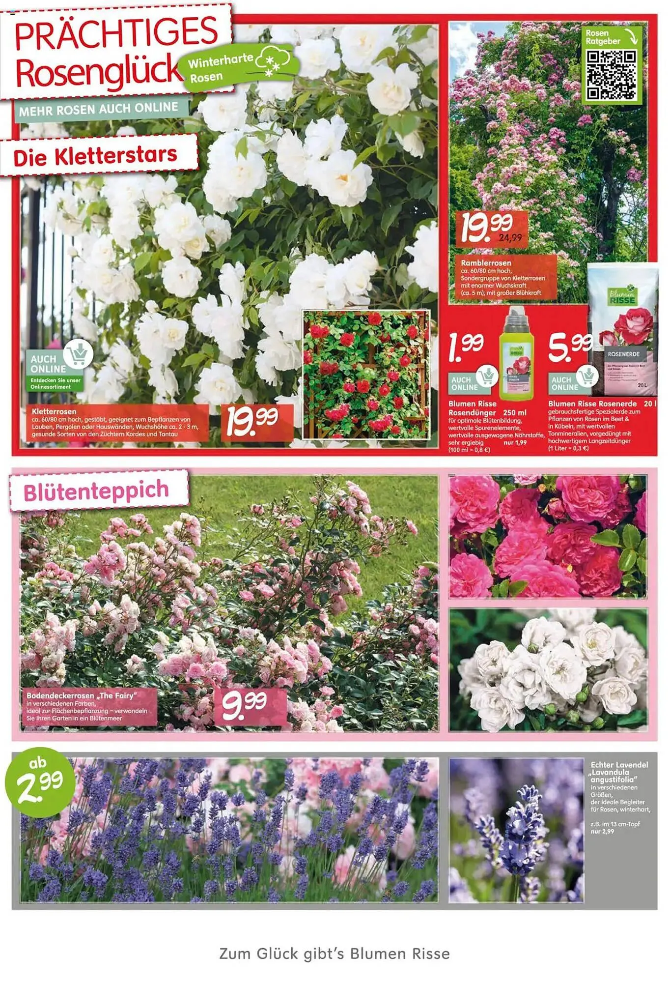 Blumen Risse Prospekt von 28. Mai bis 9. Juni 2025 - Prospekt seite 2