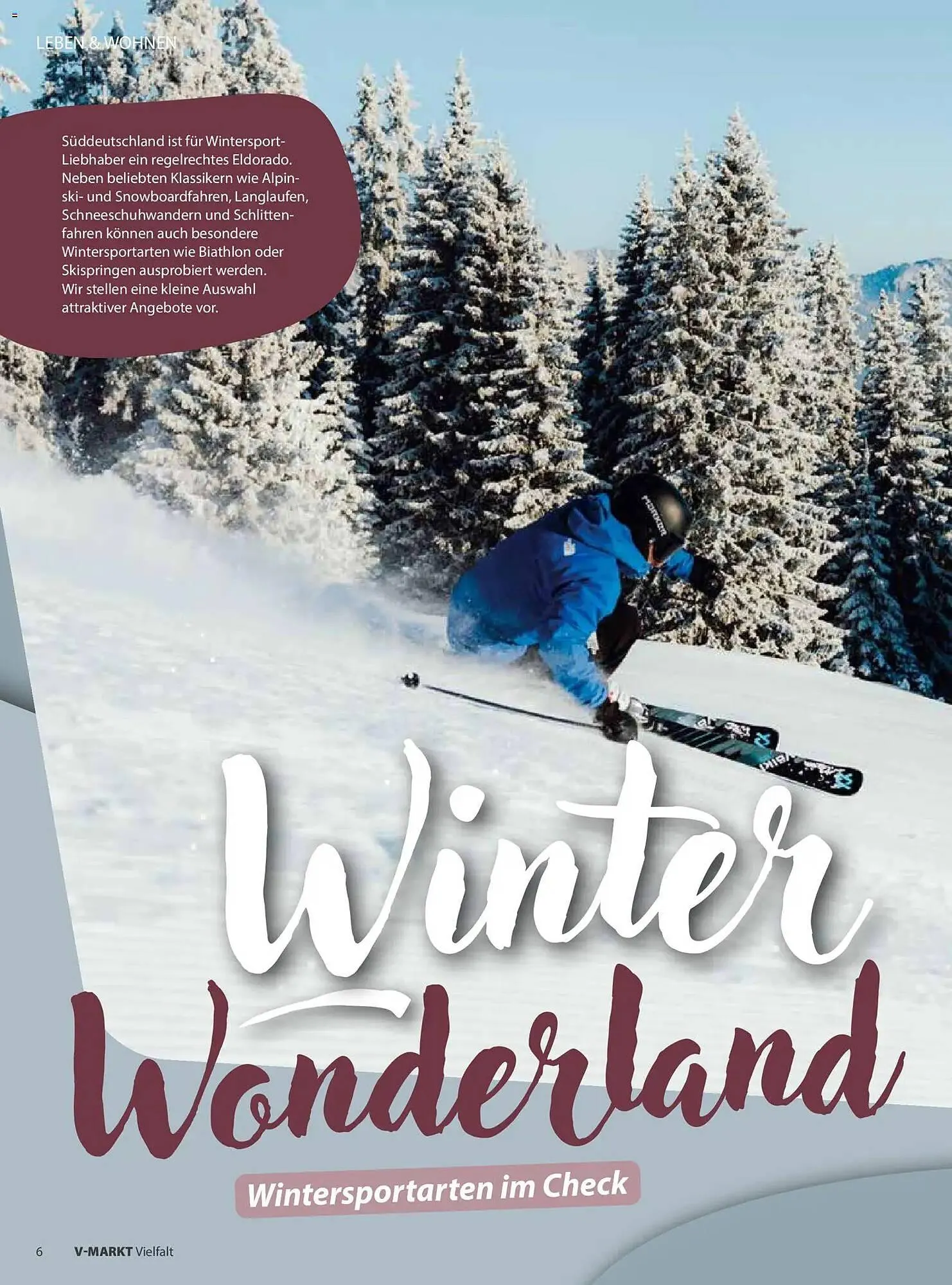 V Markt Prospekt von 2. Januar bis 7. Januar 2026 - Prospekt seite 6