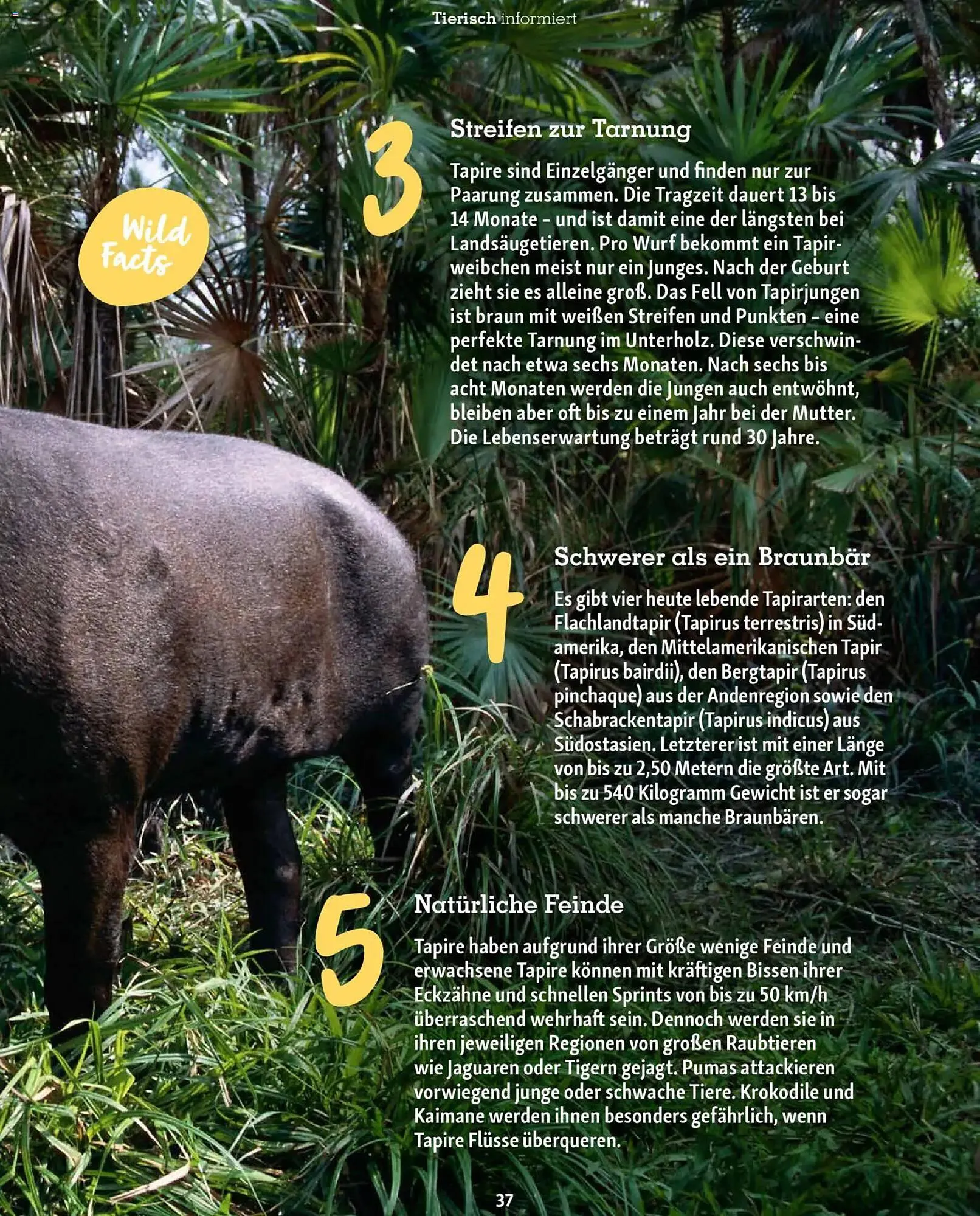 Fressnapf Magazin von 1. Januar bis 28. Februar 2026 - Prospekt seite 37