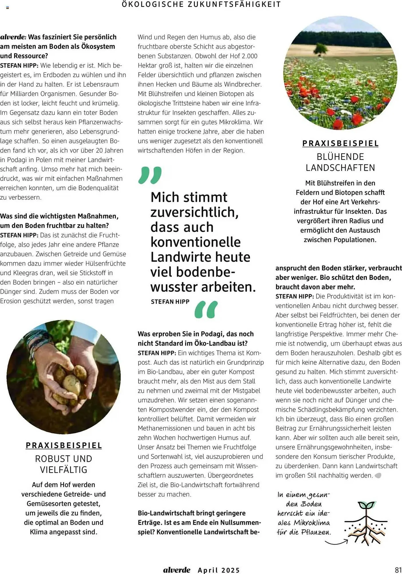 dm drogerie Prospekt von 1. April bis 30. April 2025 - Prospekt seite 81