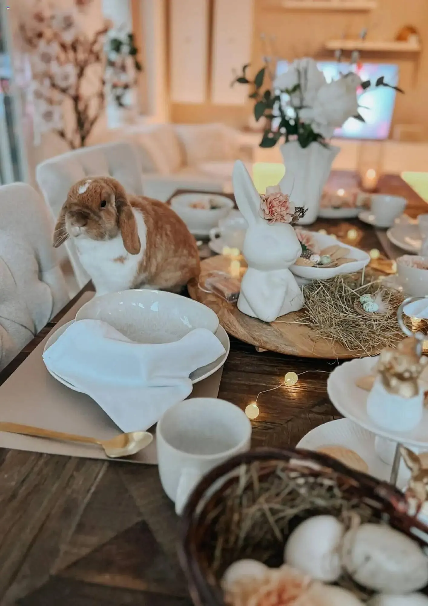 Depot Prospekt von 12. März bis 11. April 2025 - Prospekt seite 14