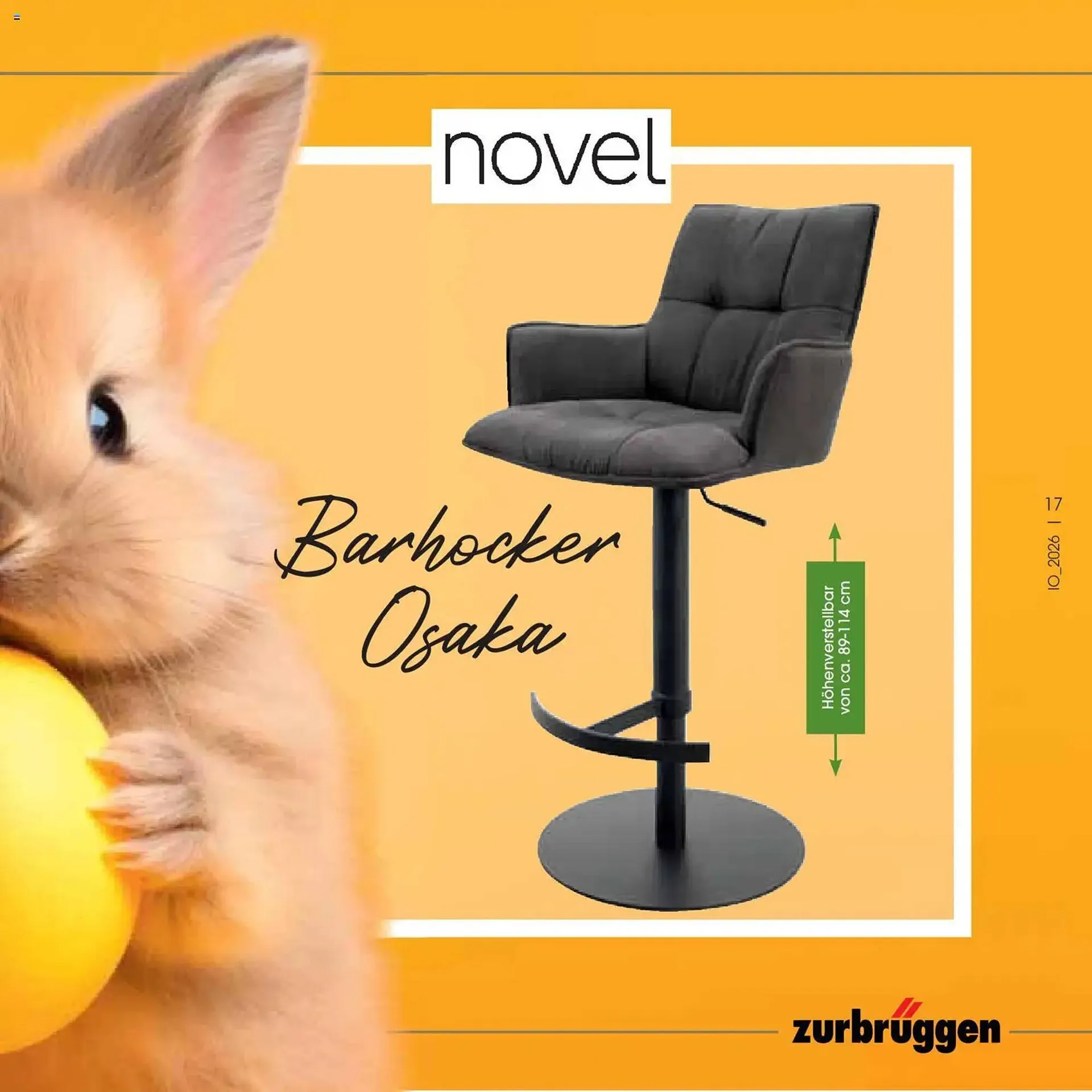 Zurbrüggen Prospekt von 23. März bis 11. April 2026 - Prospekt seite 17