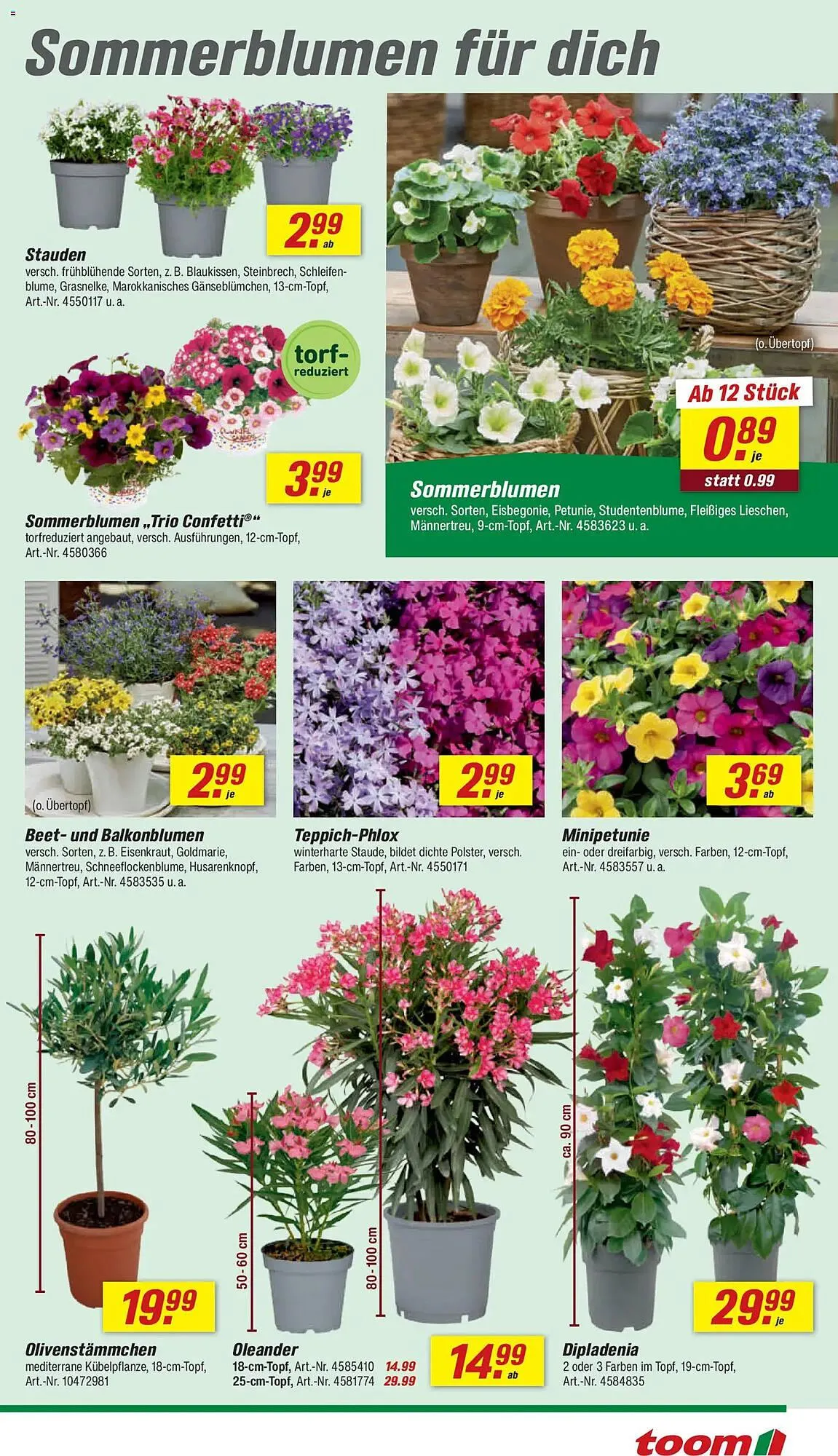 Toom Baumarkt Prospekt von 11. April bis 17. April 2026 - Prospekt seite 5