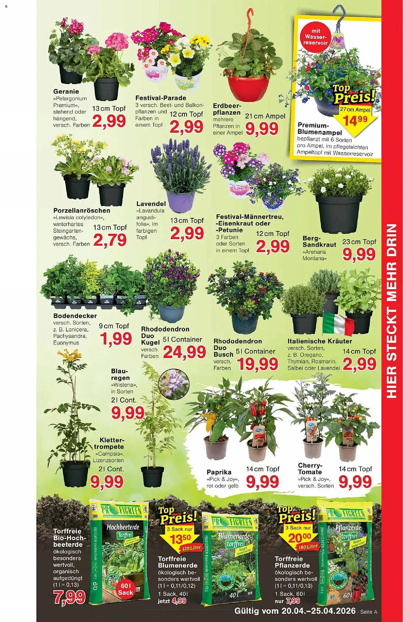 Jawoll Prospekt von 20. April bis 25. April 2026 - Prospekt seite 7