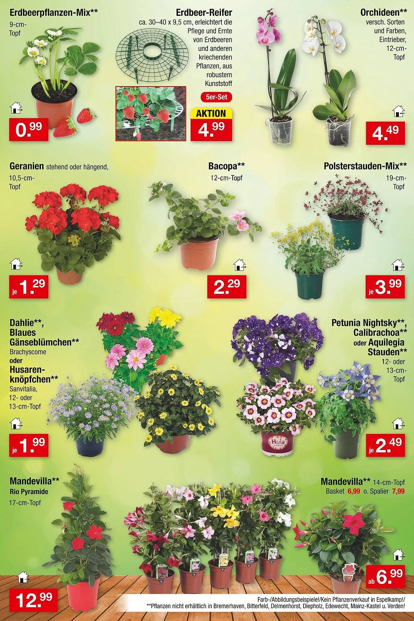Zimmermann Prospekt von 7. April bis 14. April 2025 - Prospekt seite 13