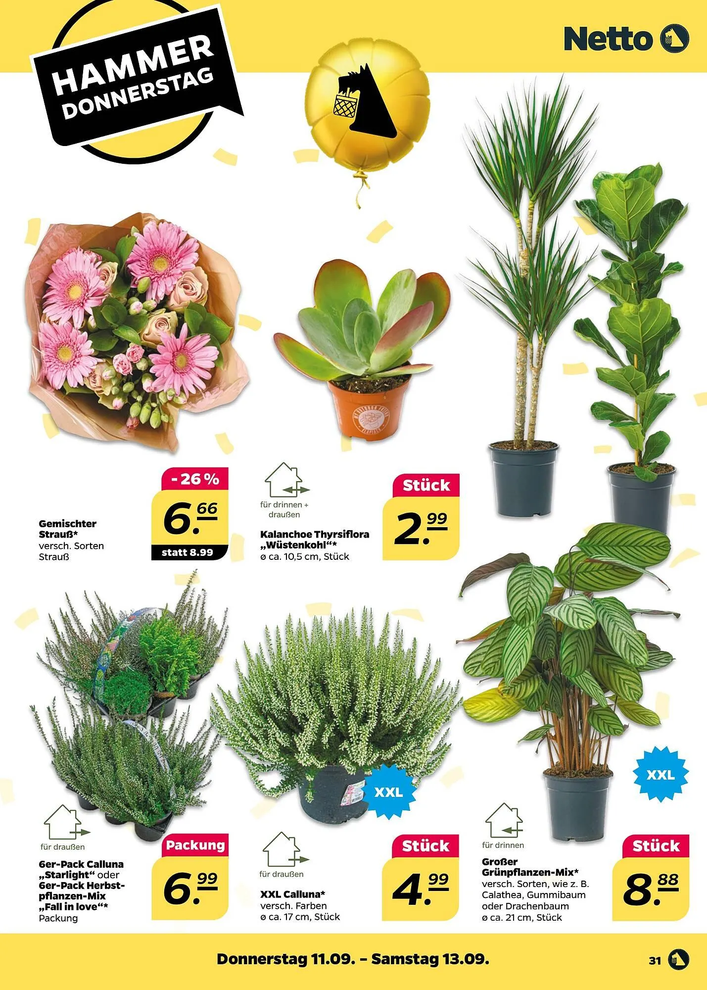 NETTO Prospekt von 8. September bis 13. September 2025 - Prospekt seite 31
