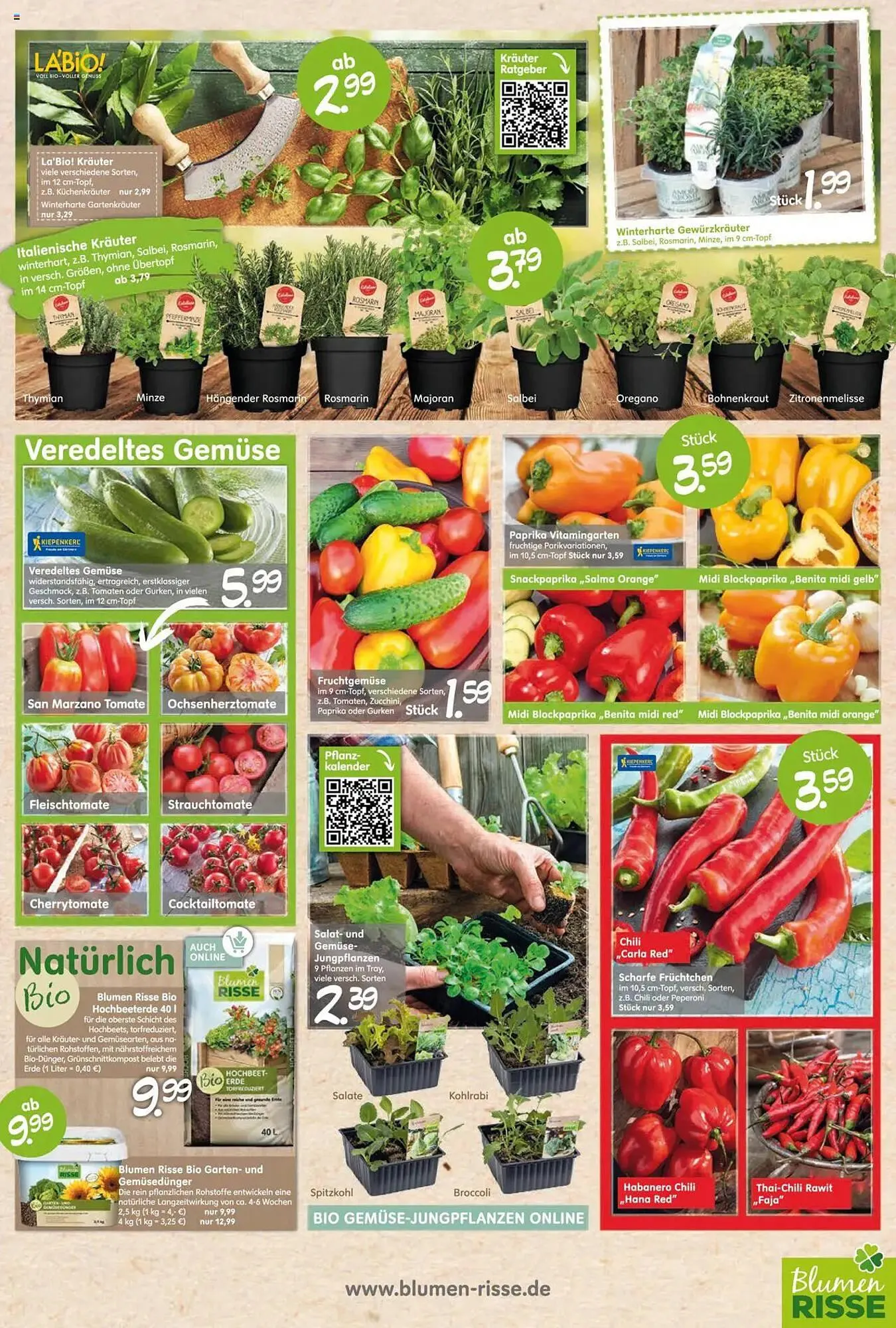 Blumen Risse Prospekt von 26. April bis 7. Mai 2025 - Prospekt seite 5