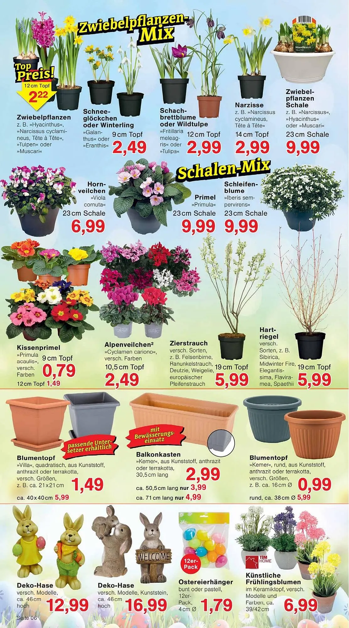 Wiglo Wunderland Prospekt von 16. Februar bis 21. Februar 2026 - Prospekt seite 6