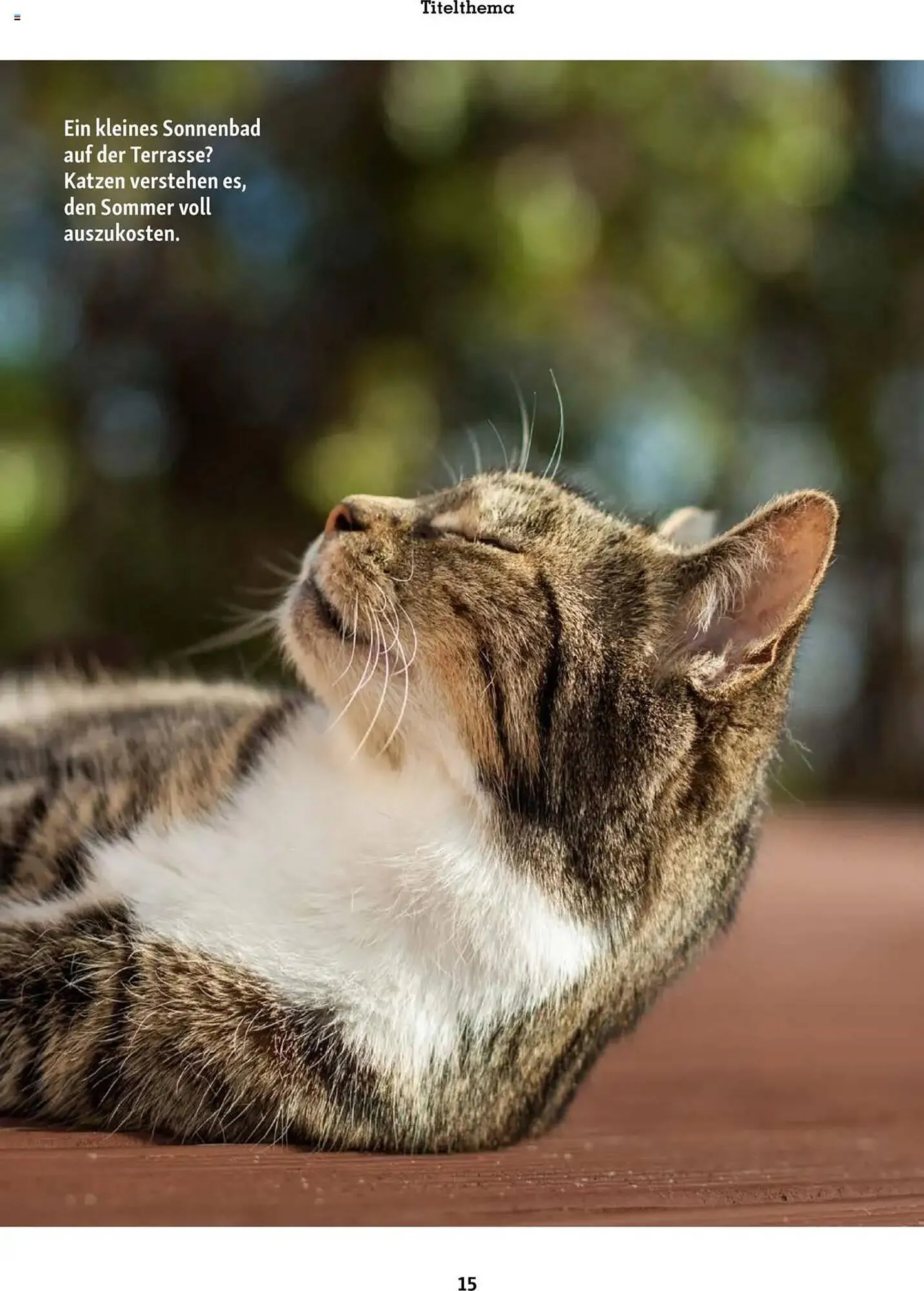 Fressnapf Prospekt von 1. Juli bis 31. August 2025 - Prospekt seite 15