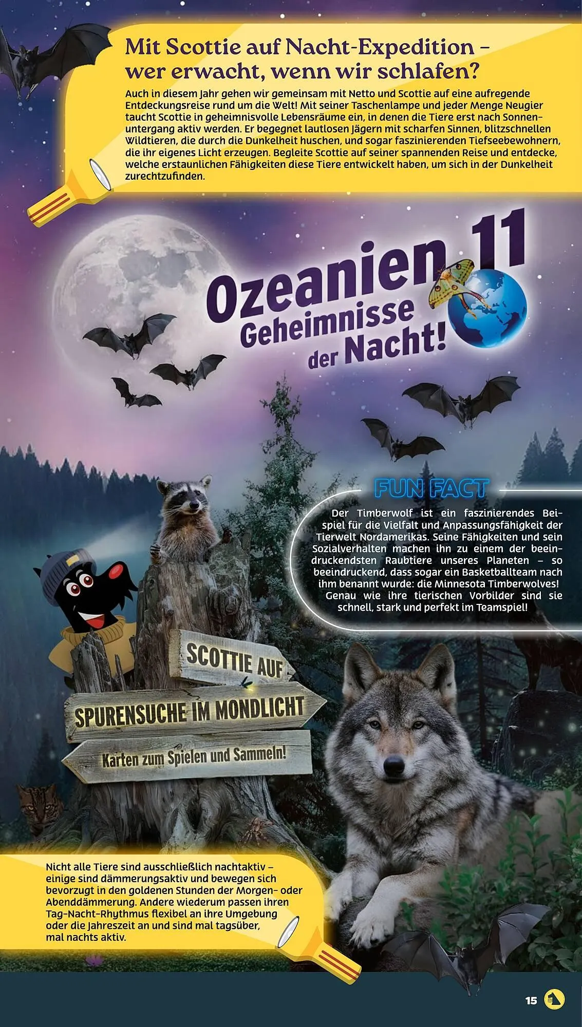 NETTO Prospekt von 21. Juli bis 26. Juli 2025 - Prospekt seite 15