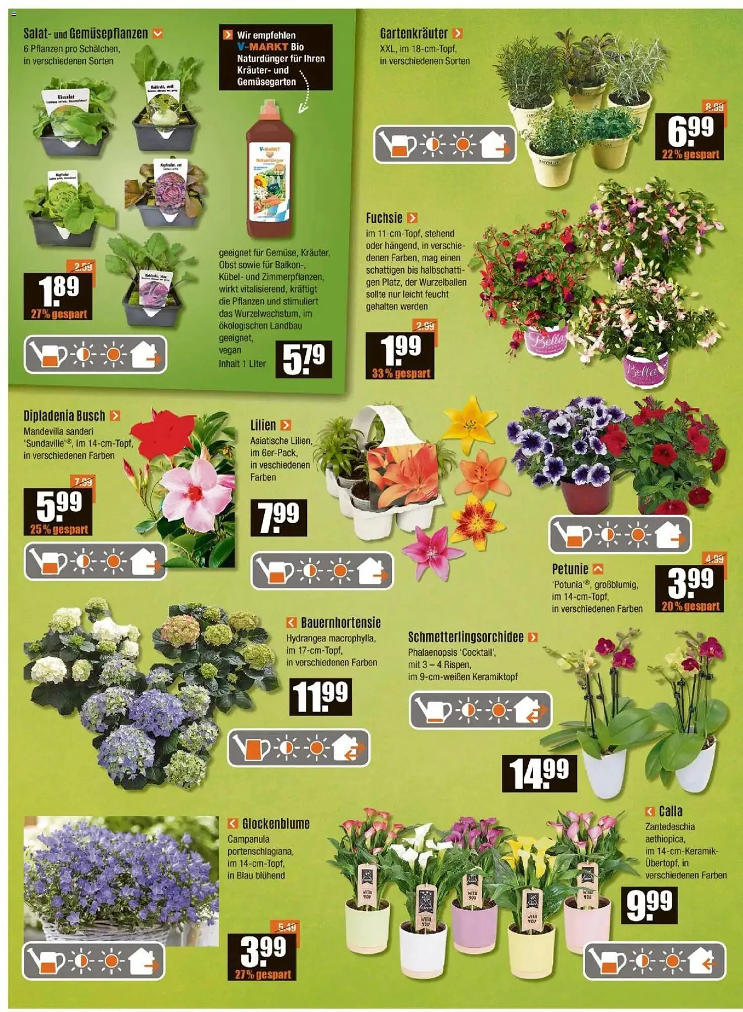 V Baumarkt Prospekt von 24. April bis 30. April 2025 - Prospekt seite 2