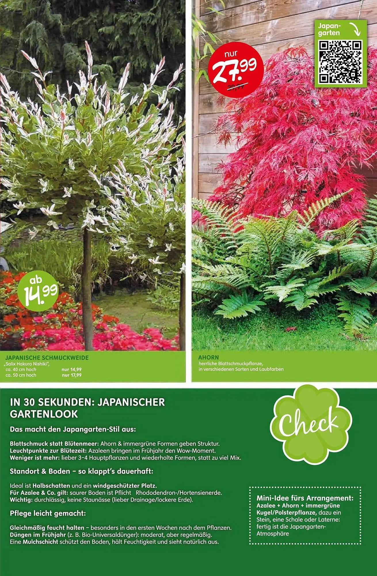 Blumen Risse Prospekt von 16. April bis 26. April 2026 - Prospekt seite 13