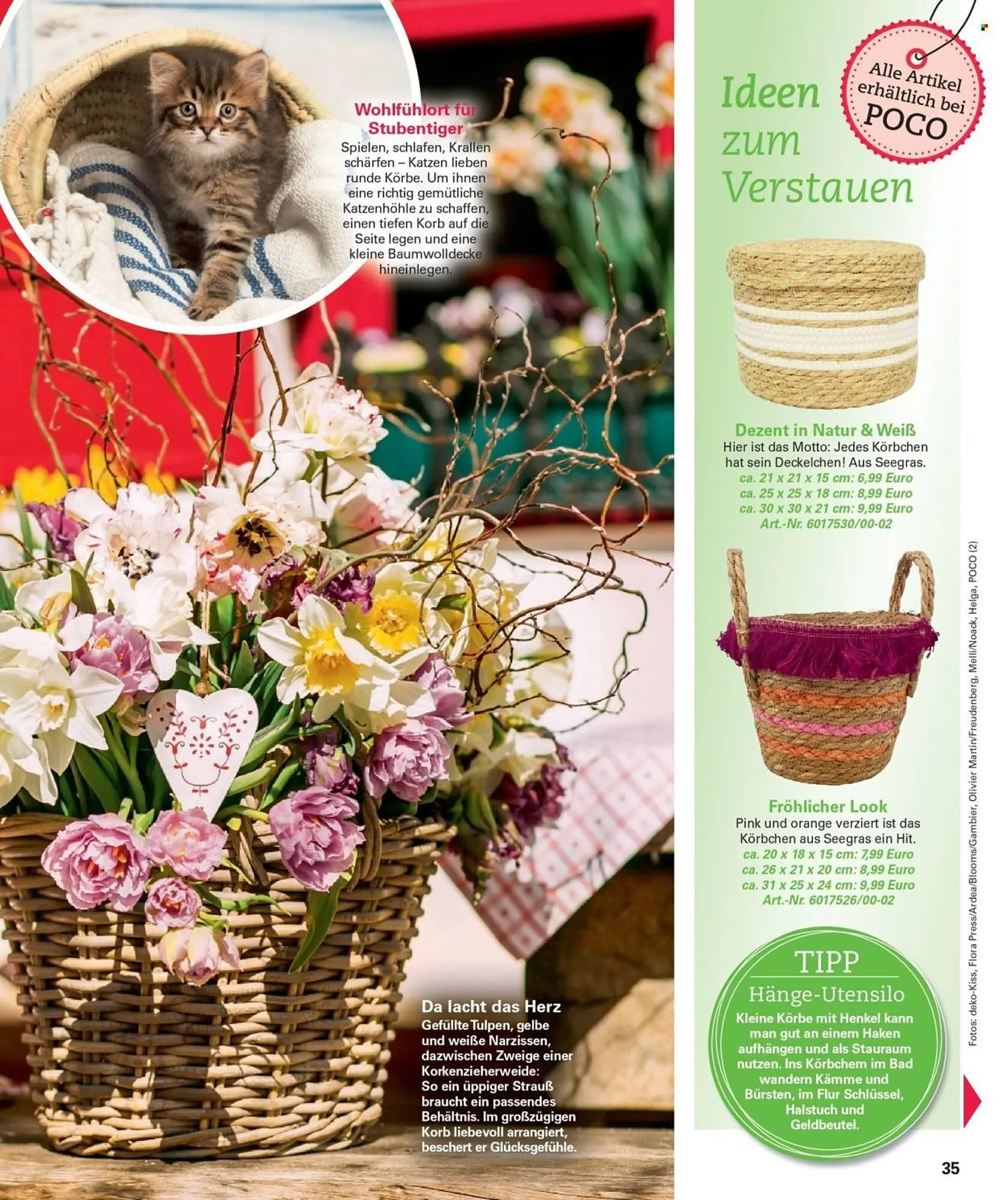 Poco Magazin von 16. Februar bis 31. Mai 2026 - Prospekt seite 35