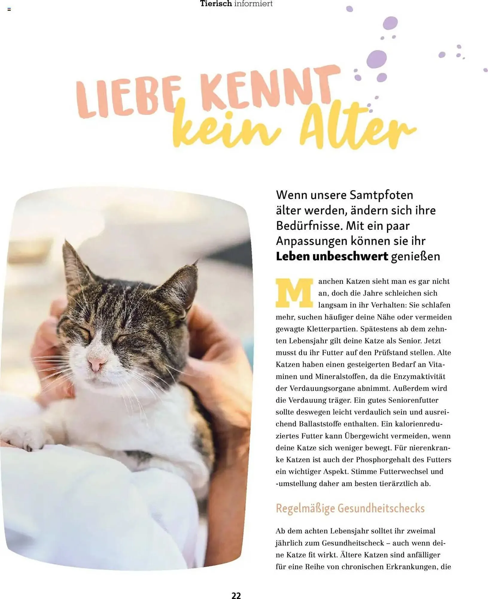 Fressnapf Prospekt von 1. Juli bis 31. August 2025 - Prospekt seite 22