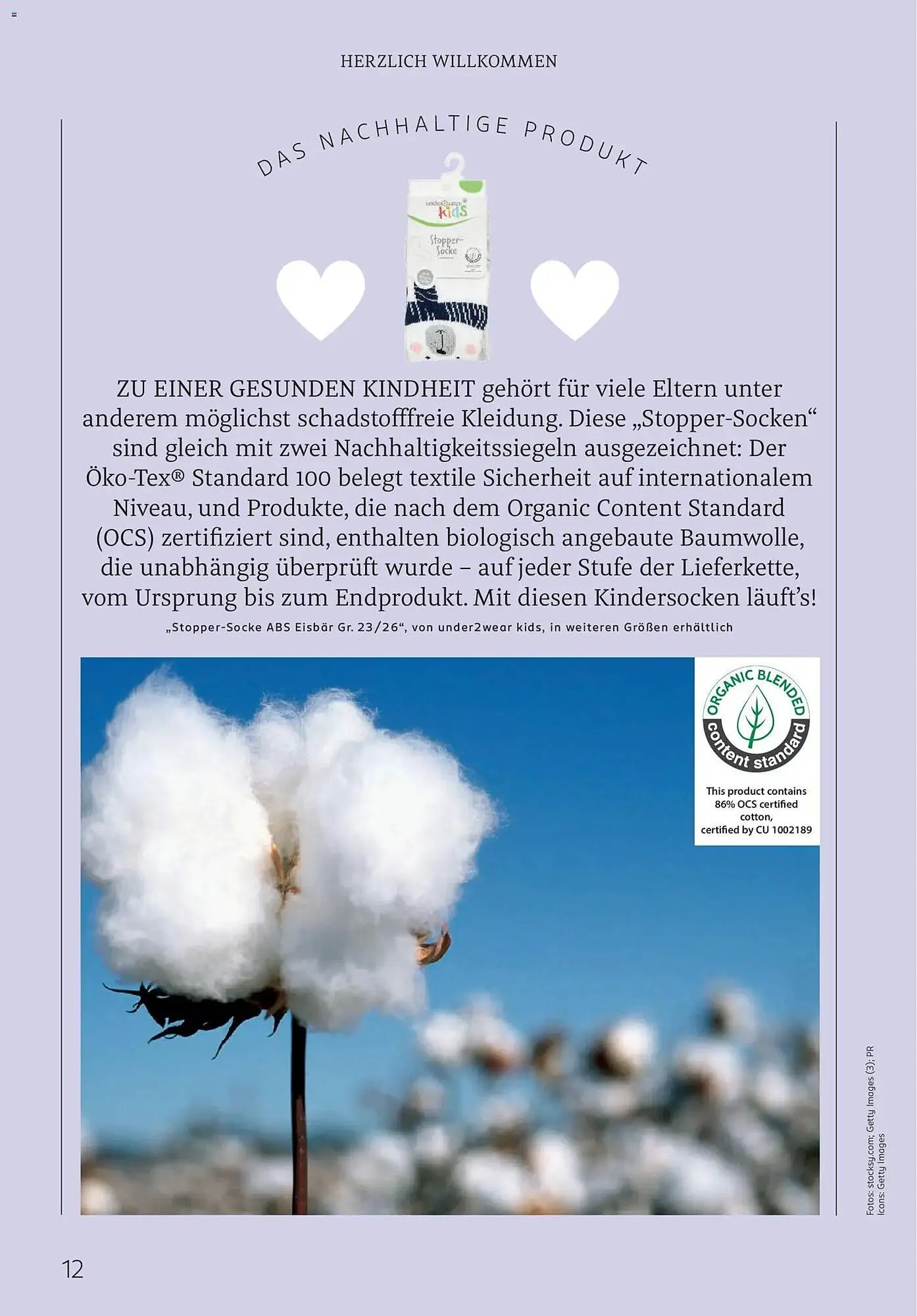 Rossmann Magazin von 1. November bis 30. November 2025 - Prospekt seite 12